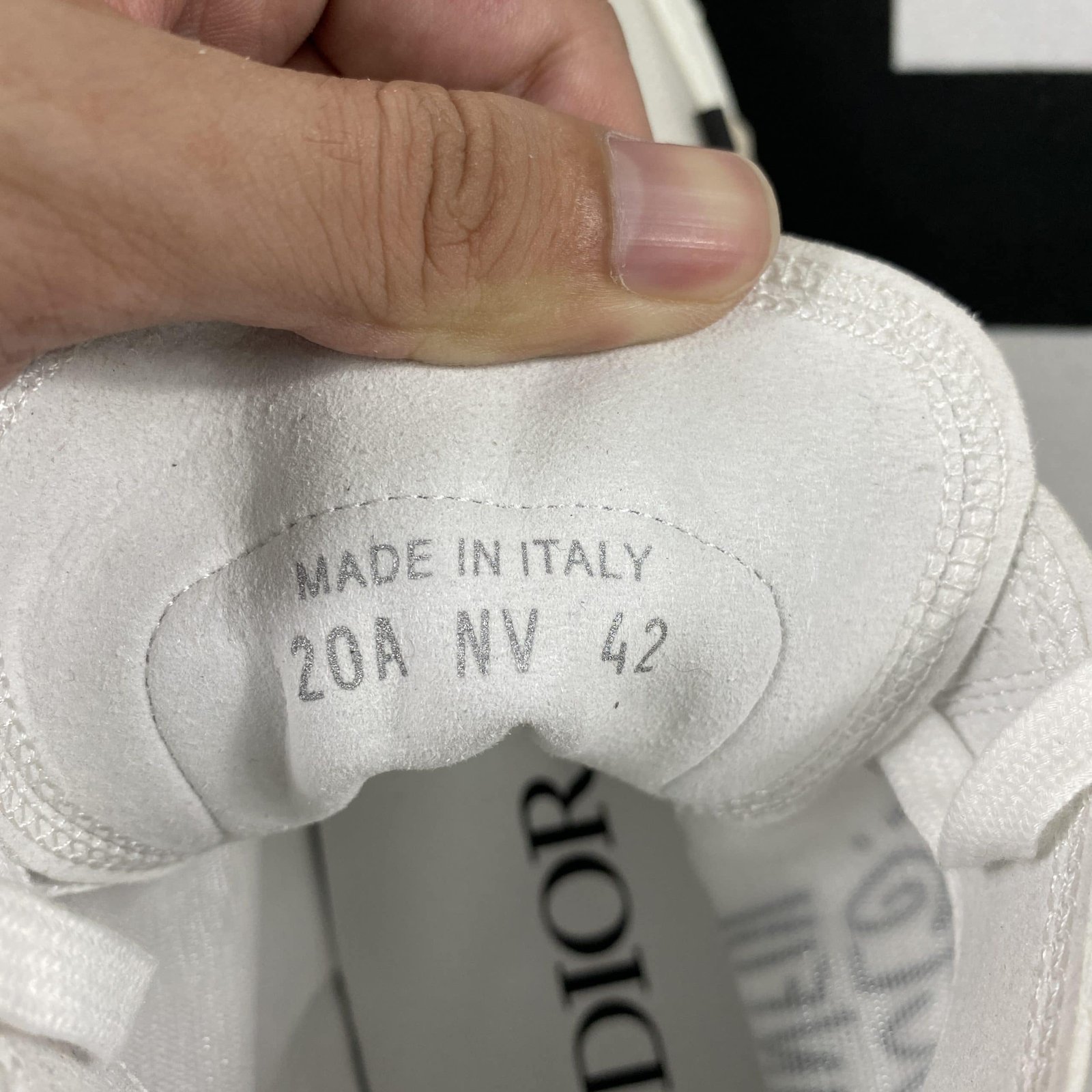 D10r B23 High Top Sneaker 17