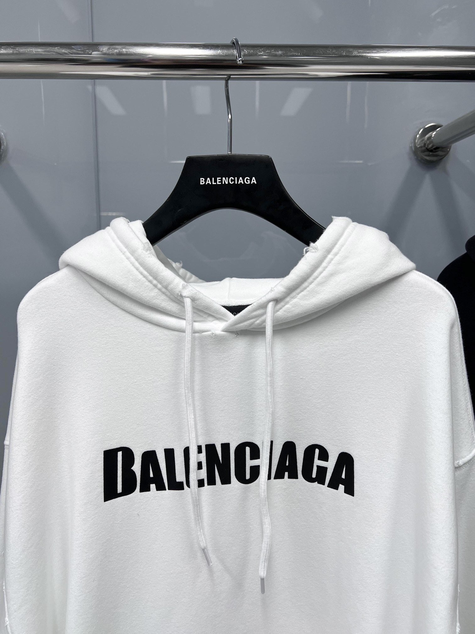 Ba1en*iaga Hoodie