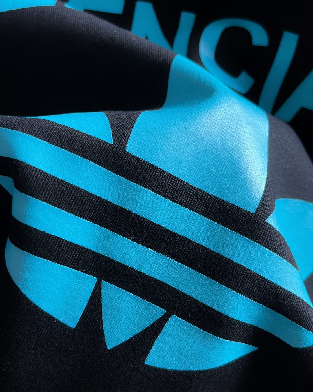 Ba1en*iaga Sweatshirt