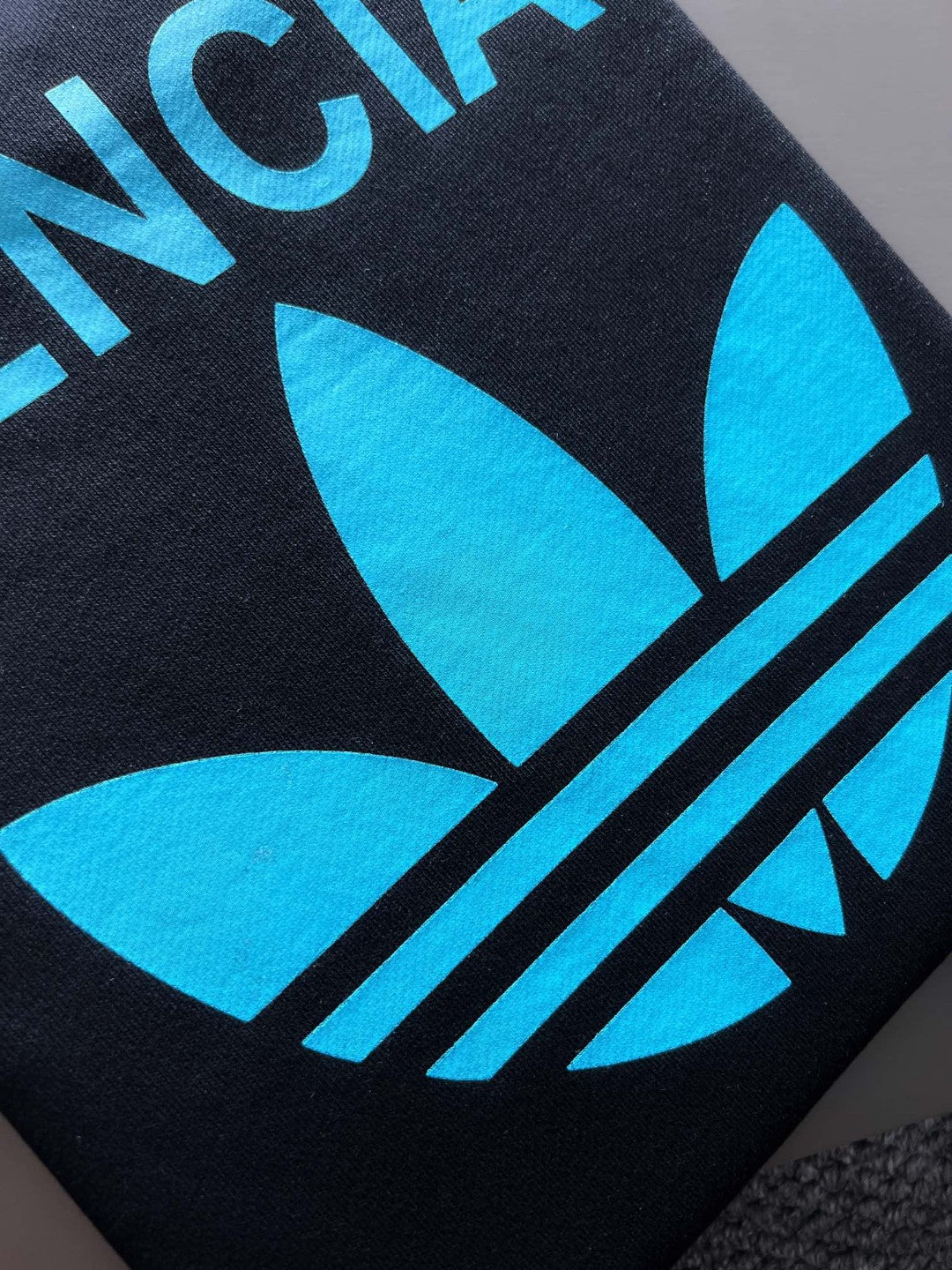 Ba1en*iaga Sweatshirt