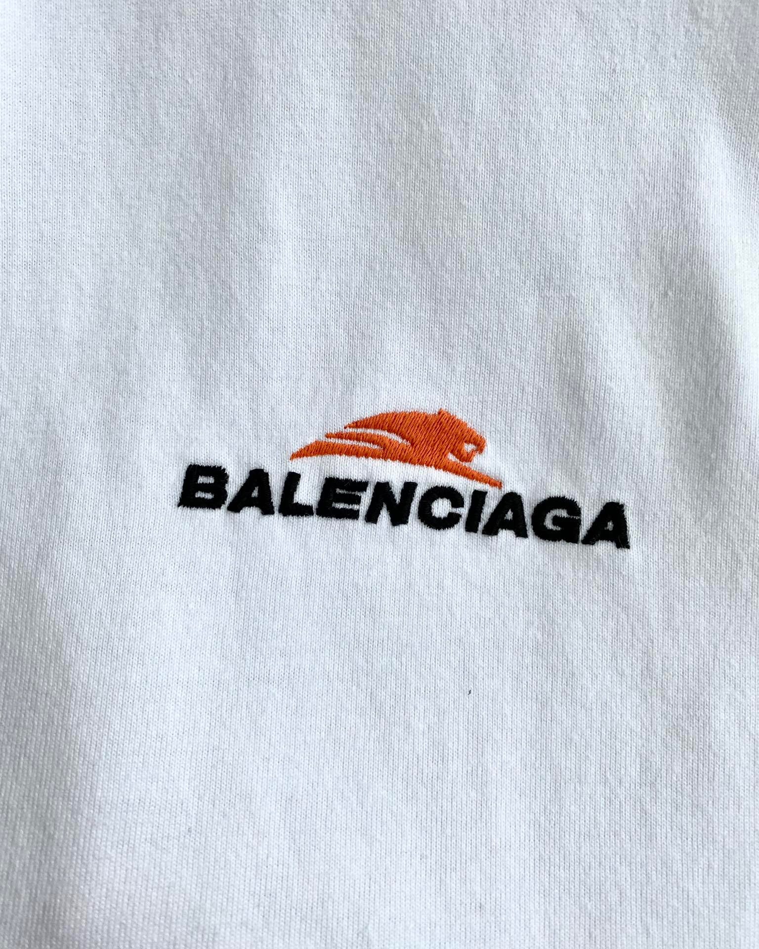 Ba1en*iaga T-shirt