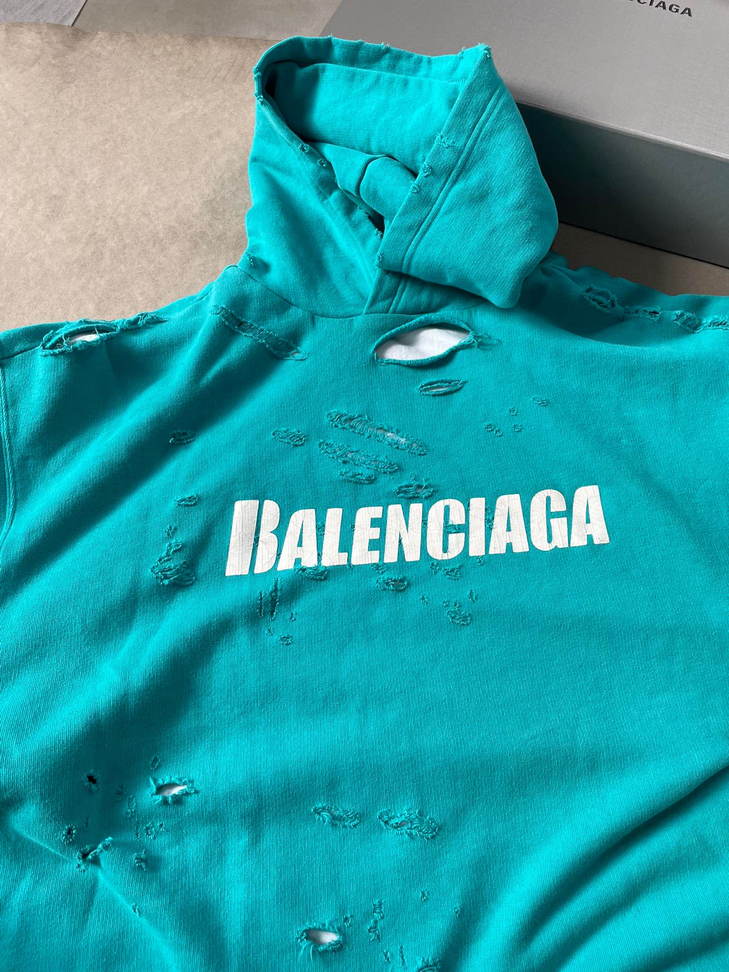 Ba1en*iaga Hoodie