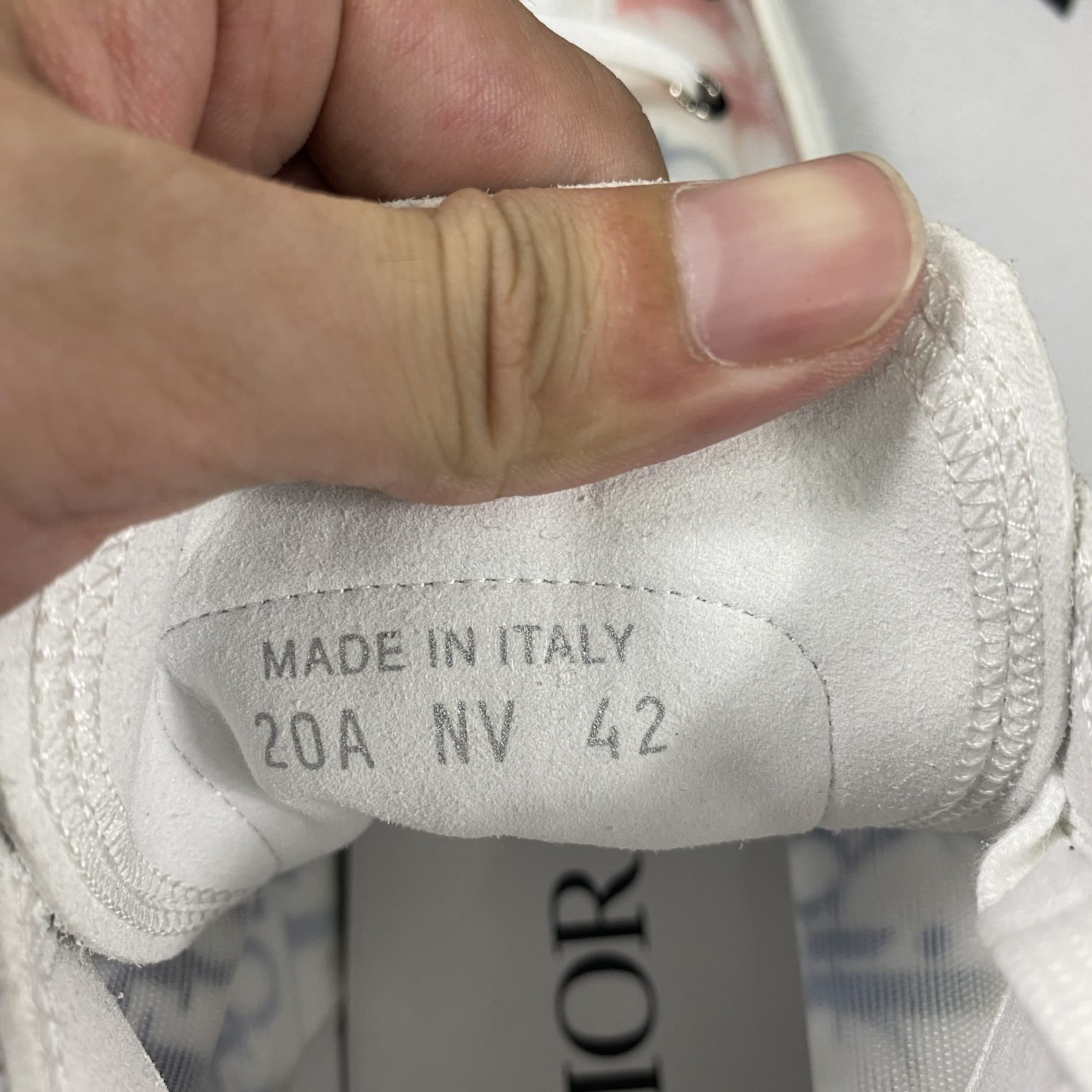 D10r B23 High Top Sneaker 14