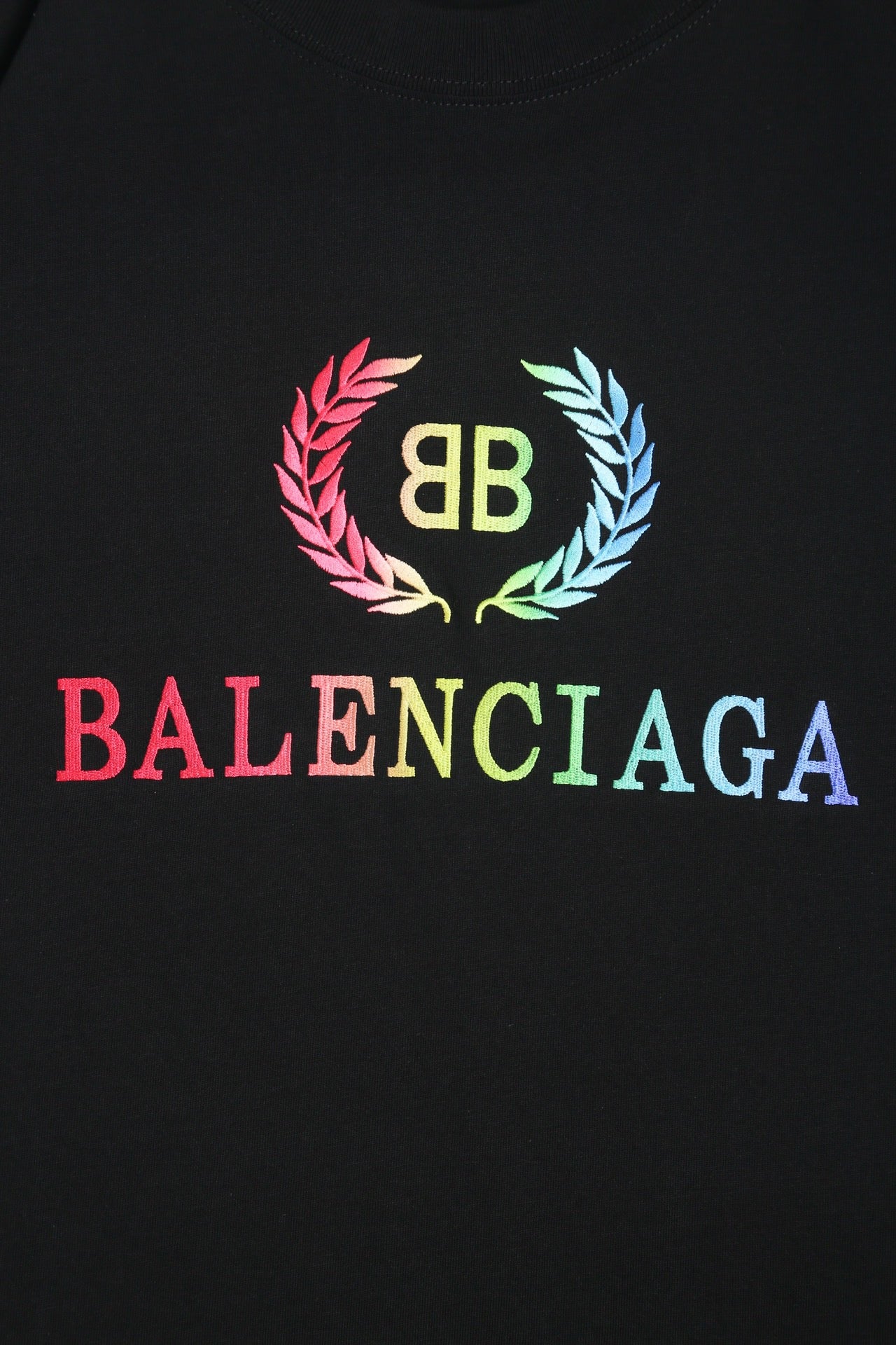 Ba1en*iaga T-shirt