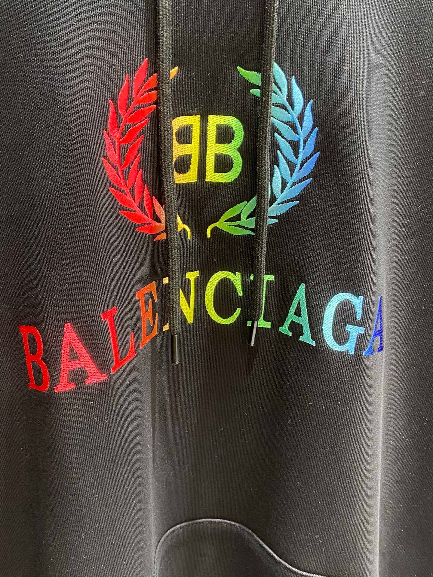 Ba1en*iaga Hoodie