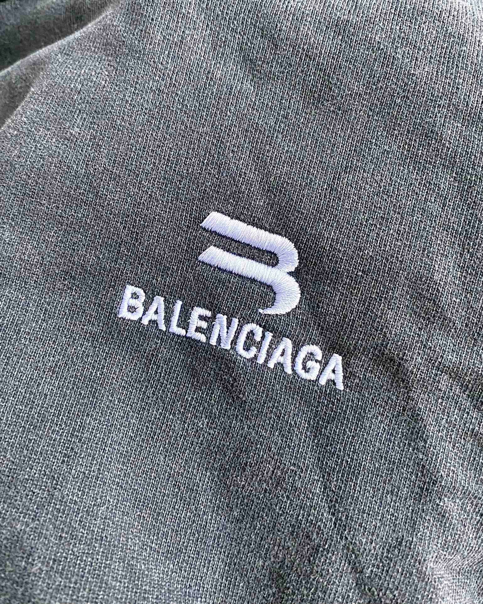 Ba1en*iaga Hoodie