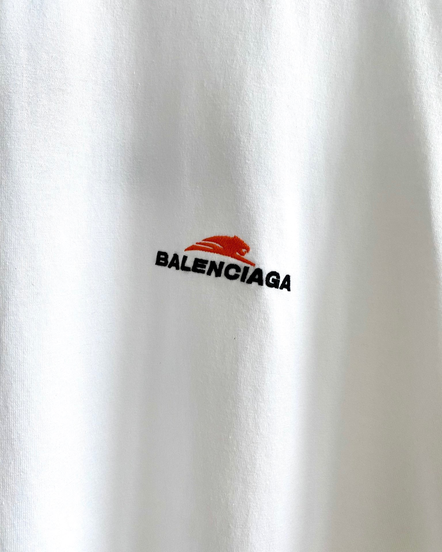 Ba1en*iaga T-shirt
