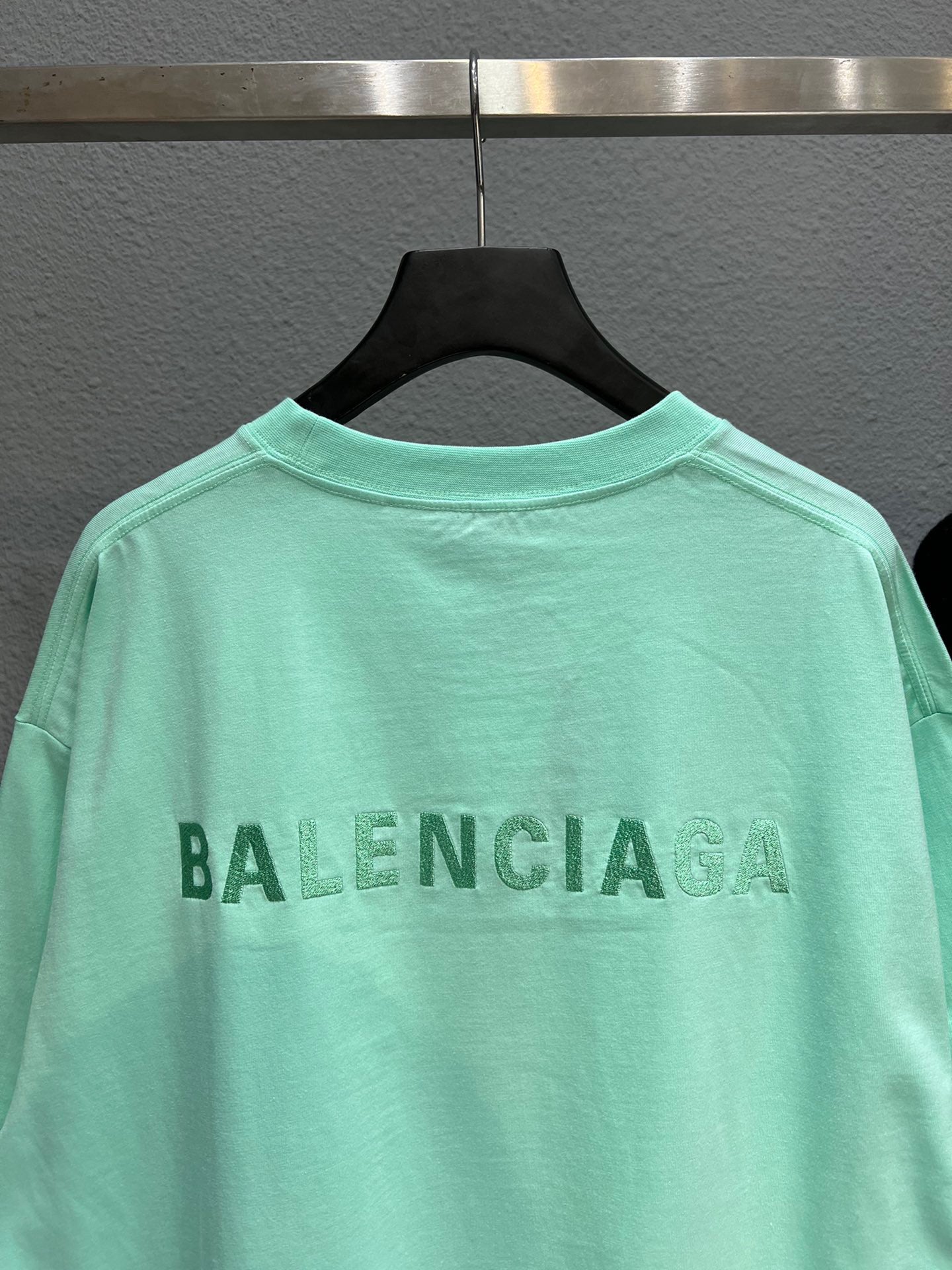 Ba1en*iaga T-shirt
