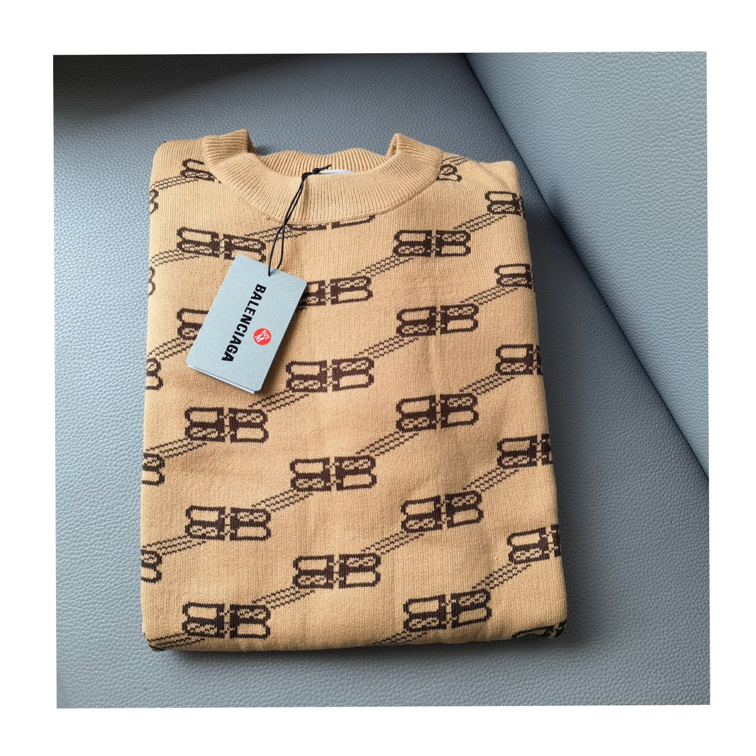 Ba1en*iaga Sweatshirt