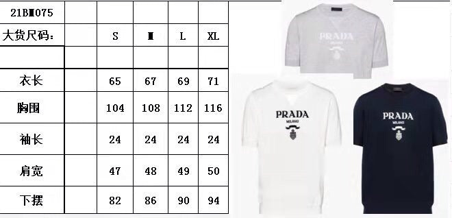 Pra*a Short Sleeve Sweater