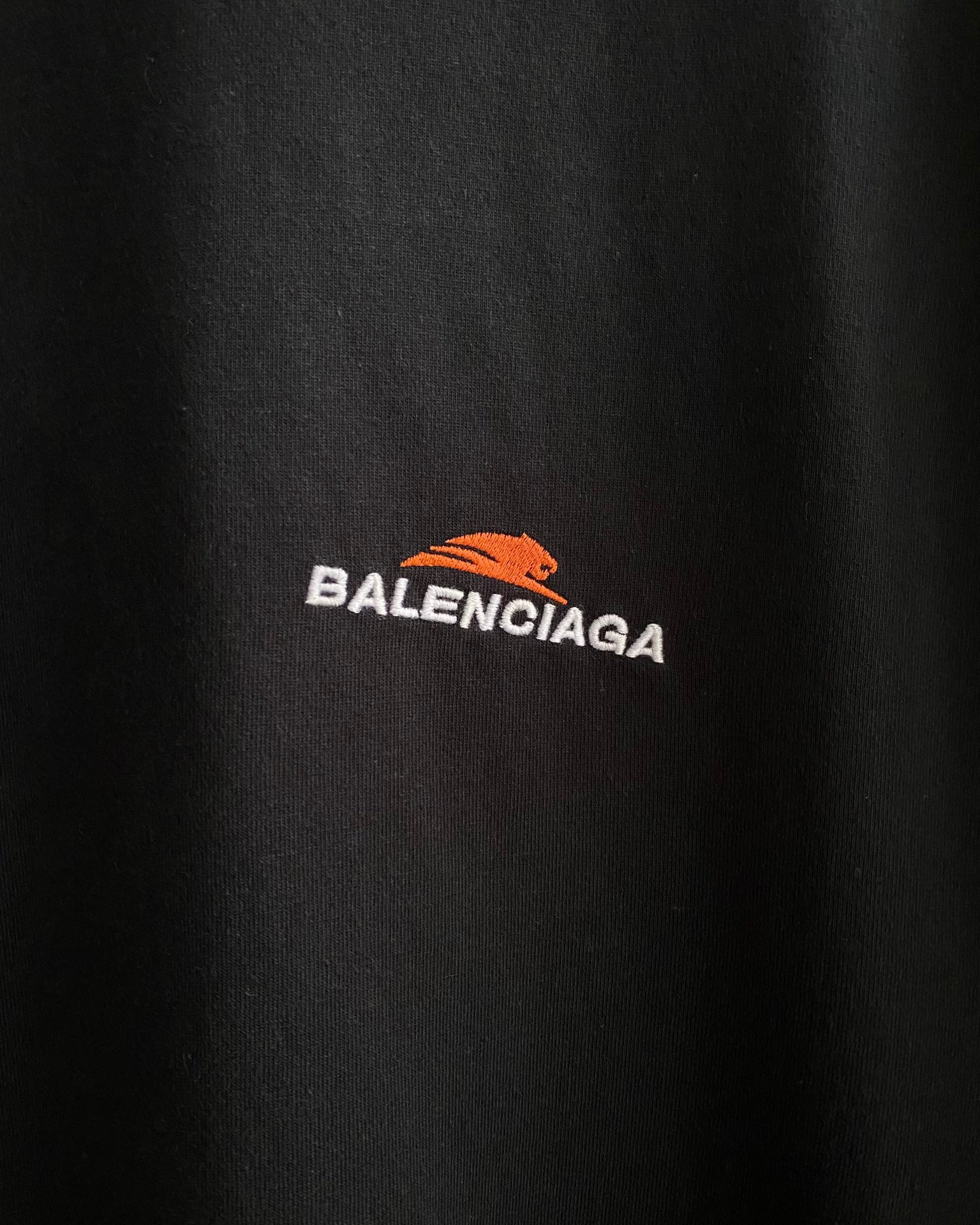 Ba1en*iaga T-shirt