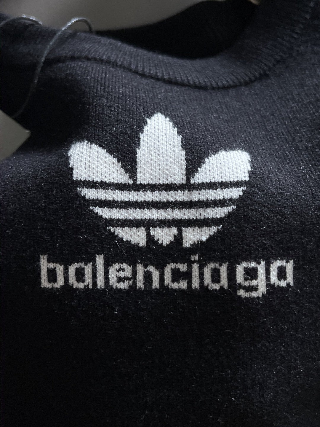 Ba1en*iaga Sweatshirt
