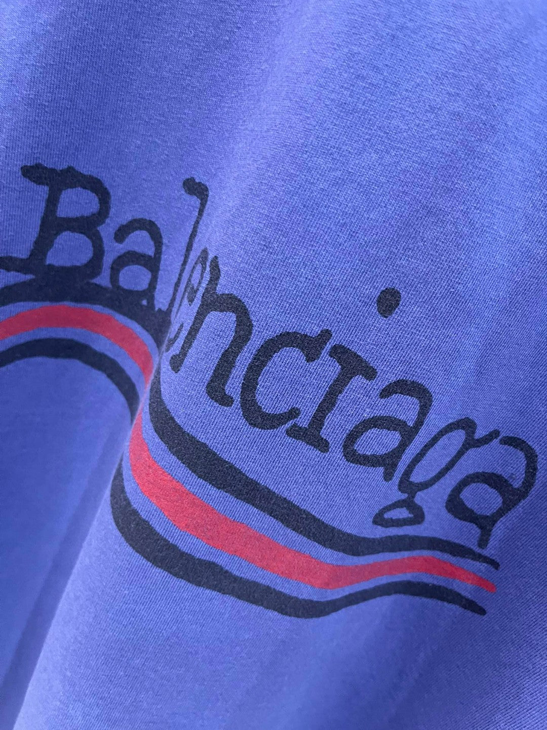 Ba1en*iaga T-shirt