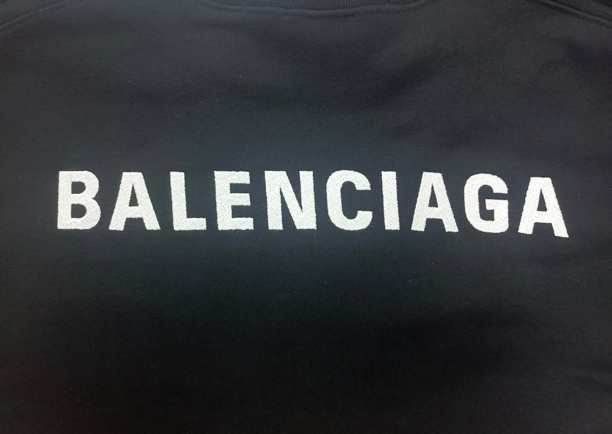 Ba1en*iaga Sweatshirt