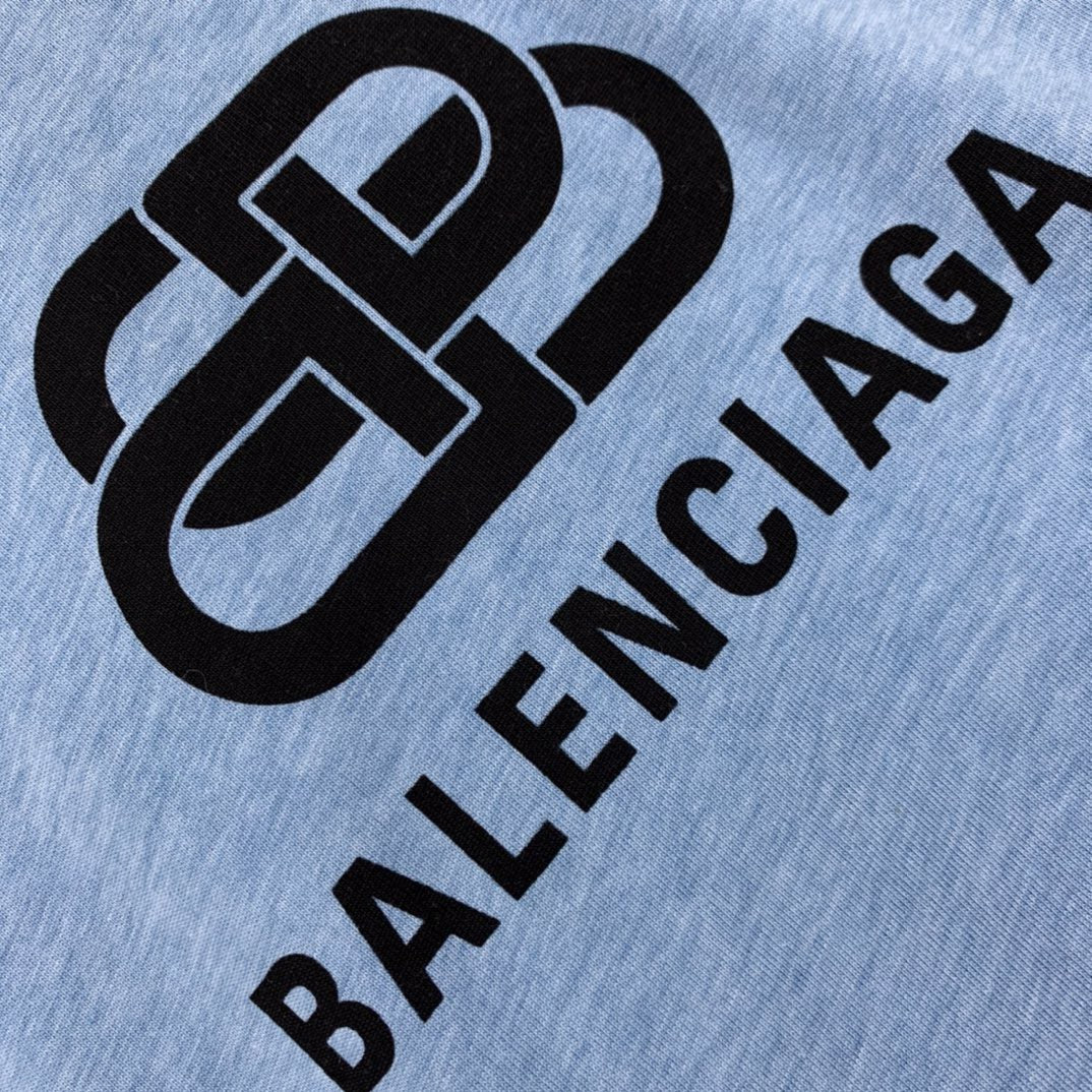 Ba1en*iaga T-shirt