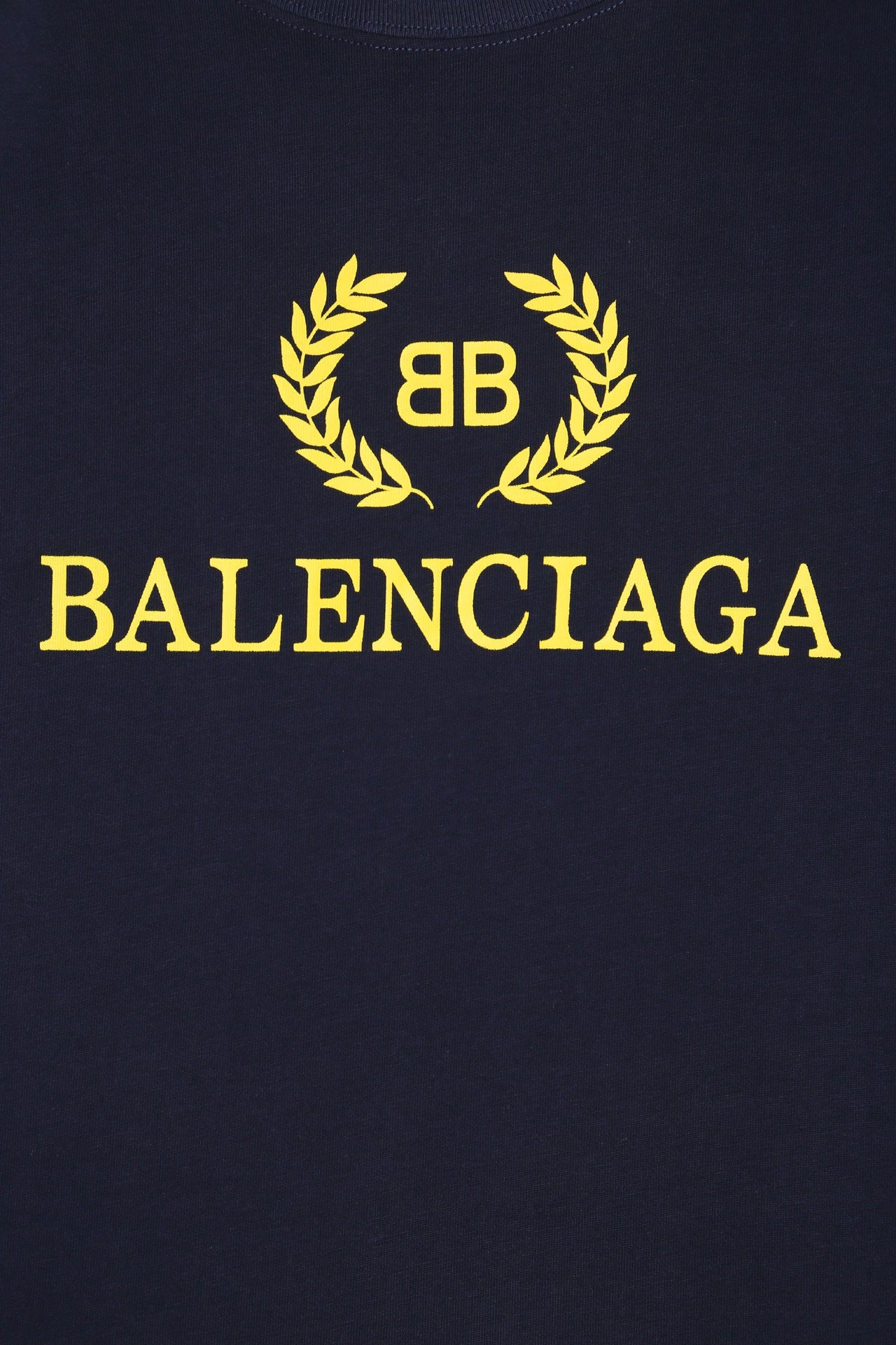 Ba1en*iaga T-shirt