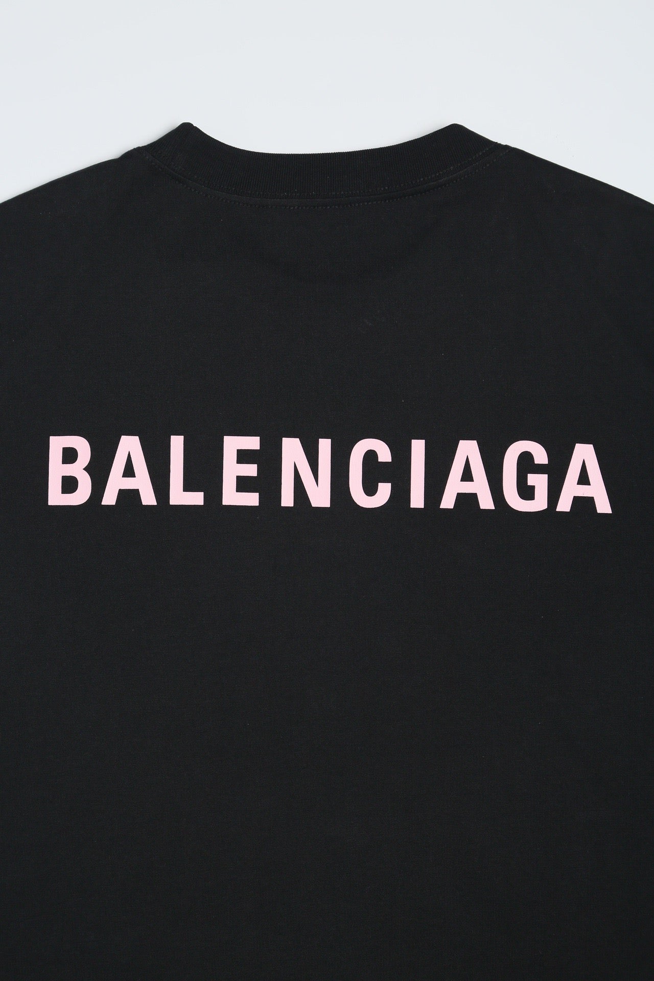Ba1en*iaga T-shirt