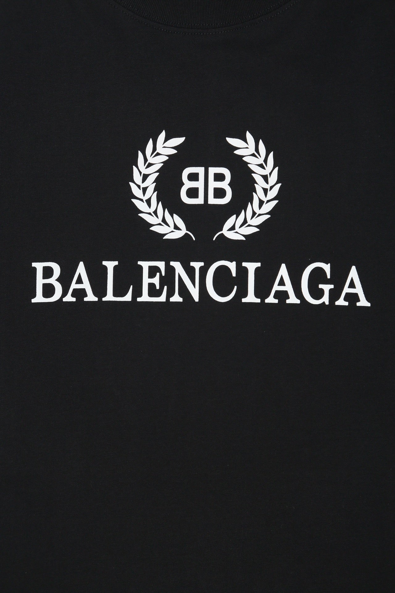 Ba1en*iaga T-shirt
