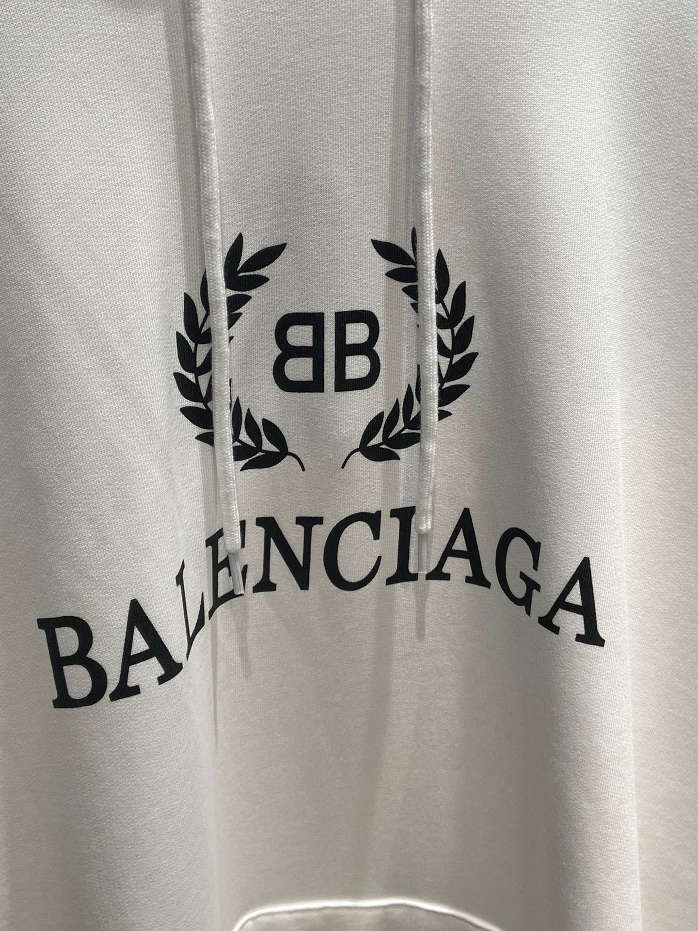 Ba1en*iaga Hoodie
