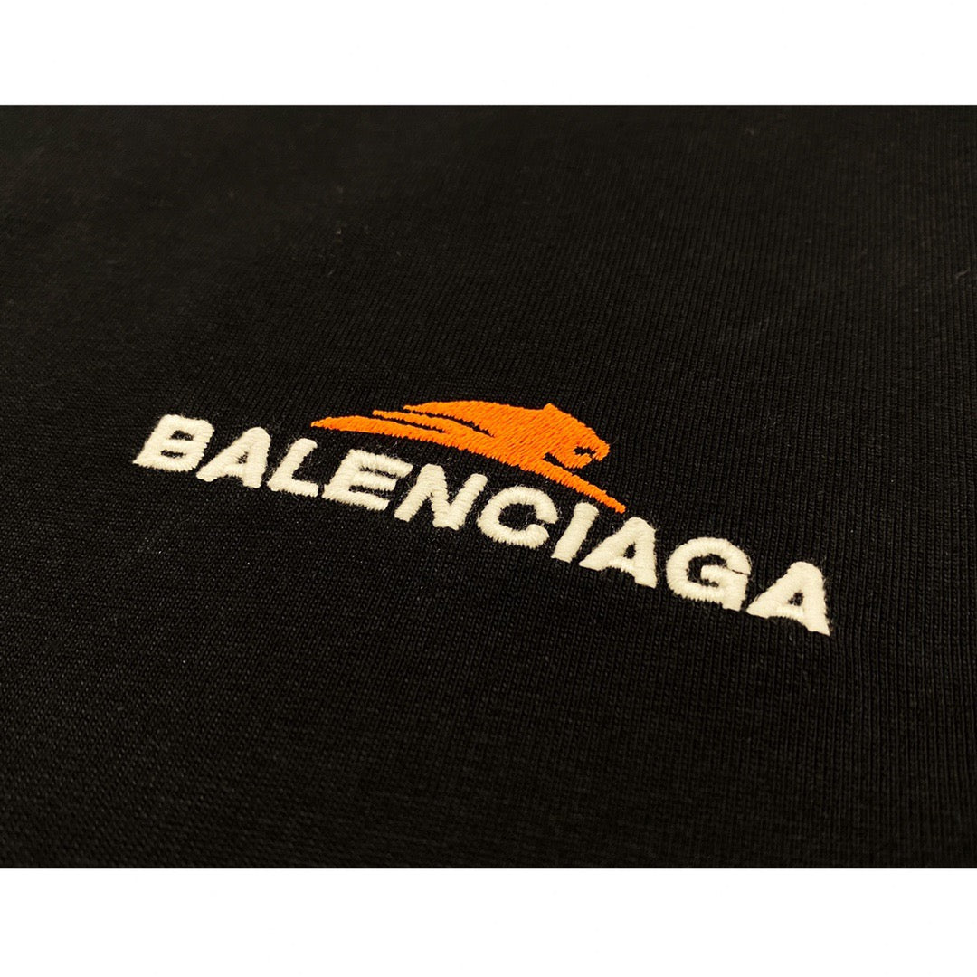 Ba1en*iaga T-shirt