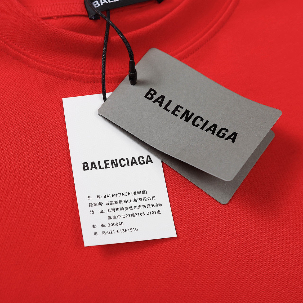 Ba1en*iaga T-shirt