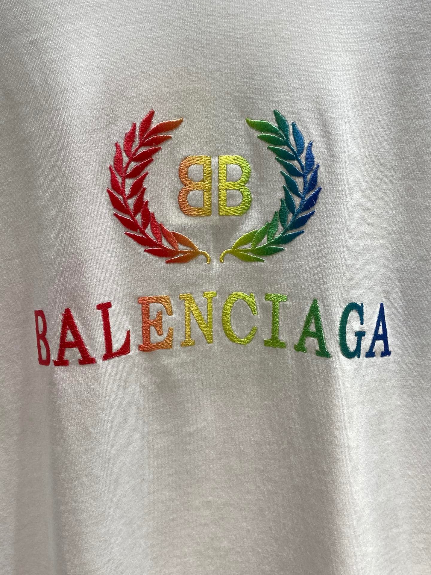 Ba1en*iaga T-shirt