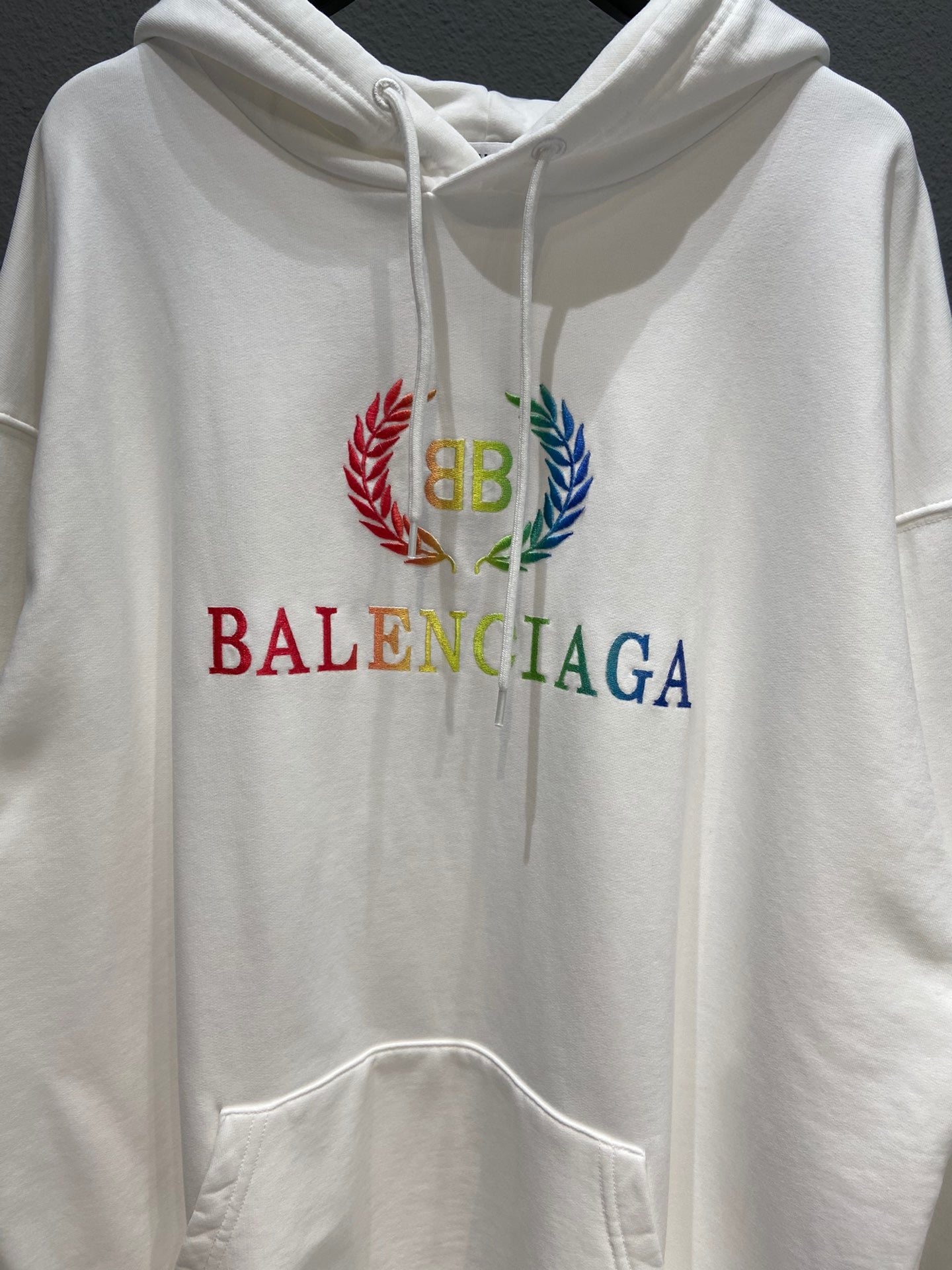 Ba1en*iaga Hoodie
