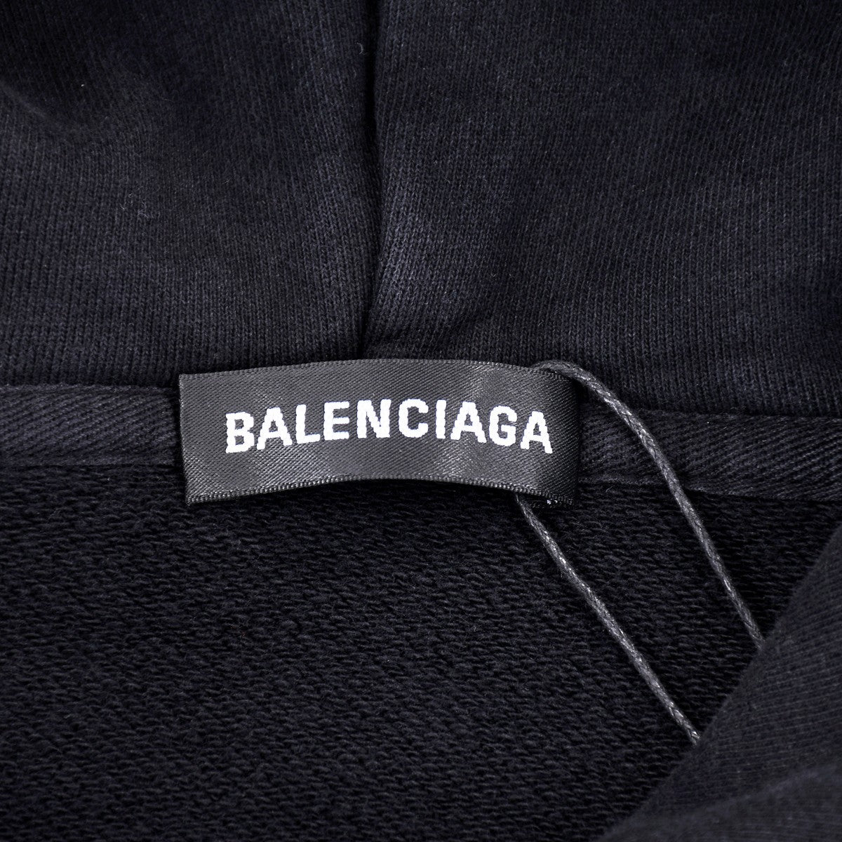 Ba1en*iaga Hoodie