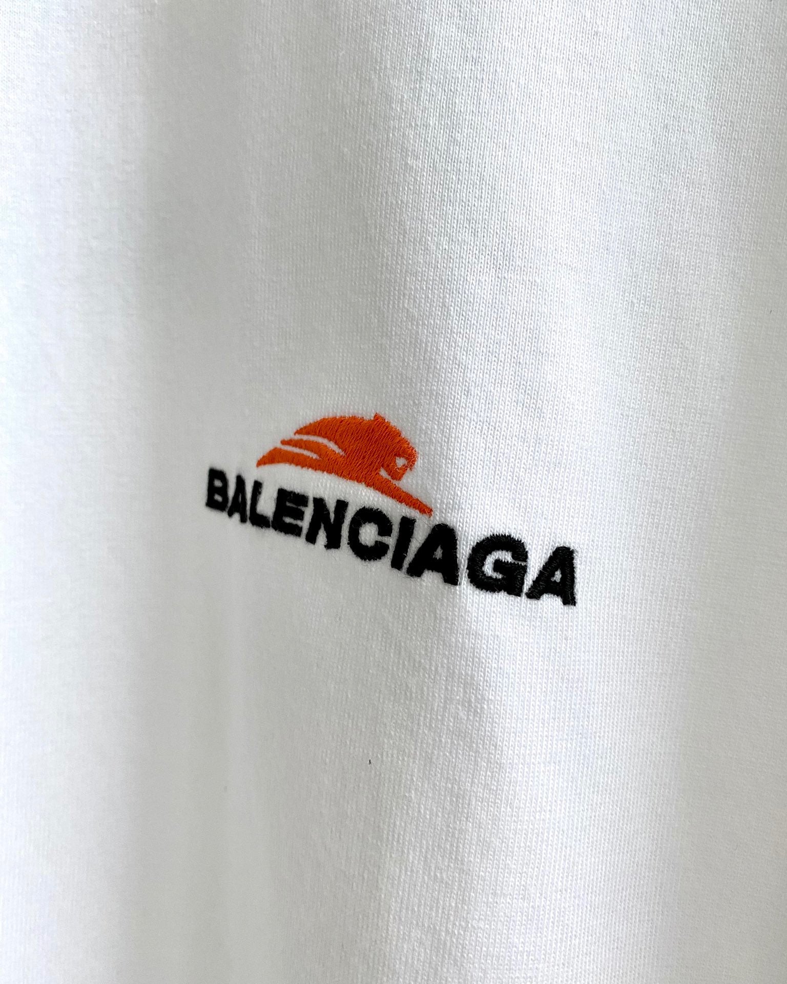 Ba1en*iaga T-shirt