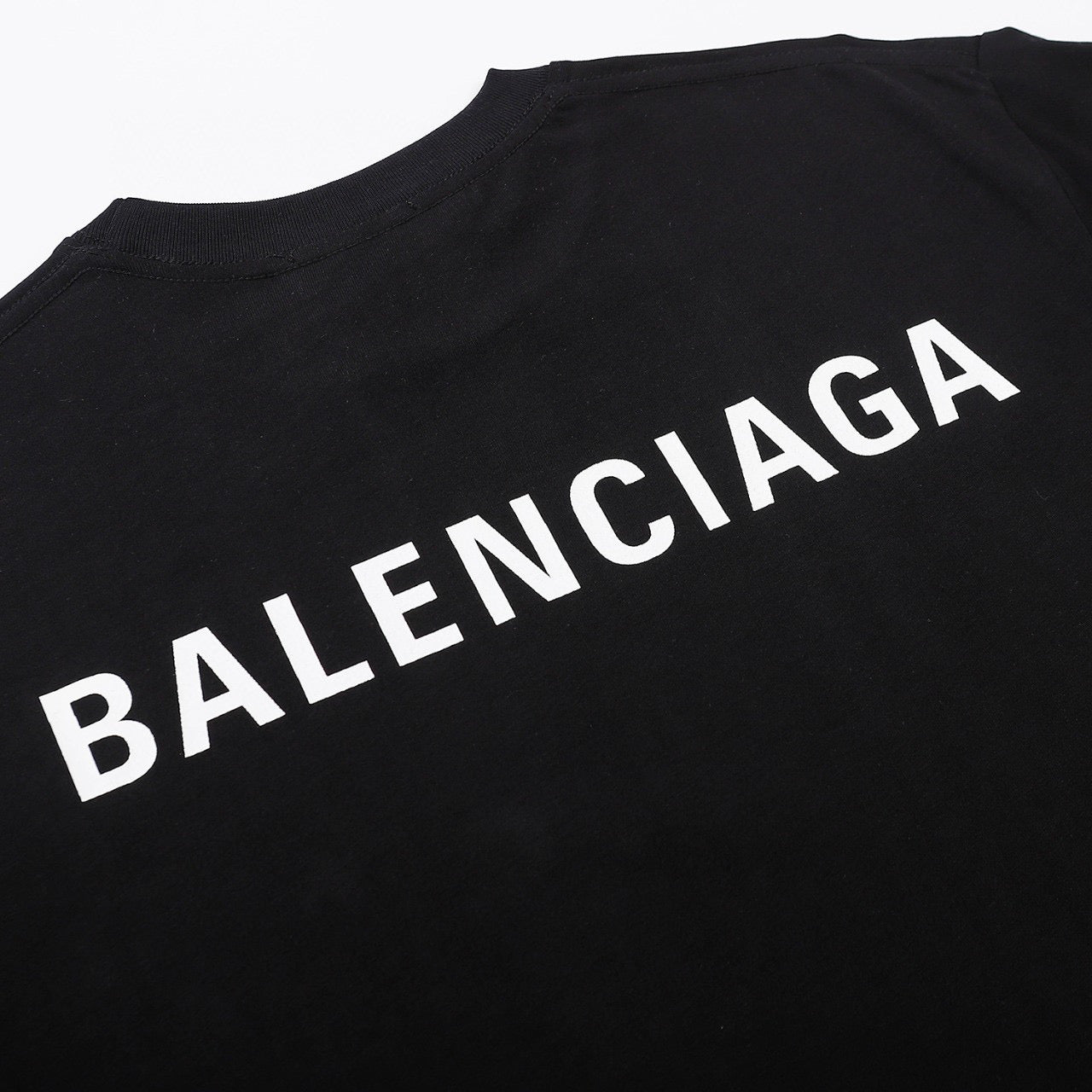 Ba1en*iaga T-shirt