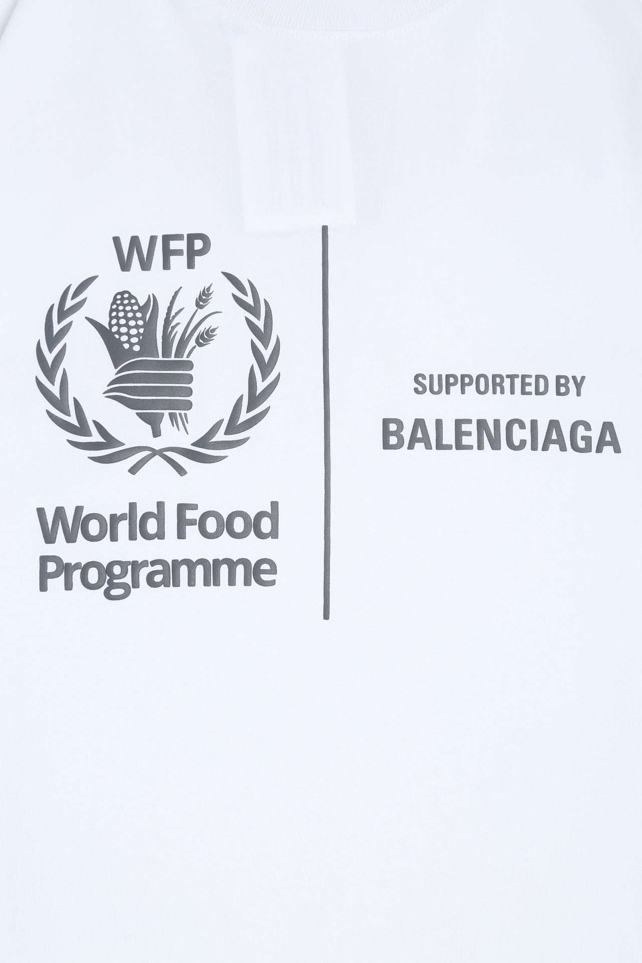 Ba1en*iaga T-shirt