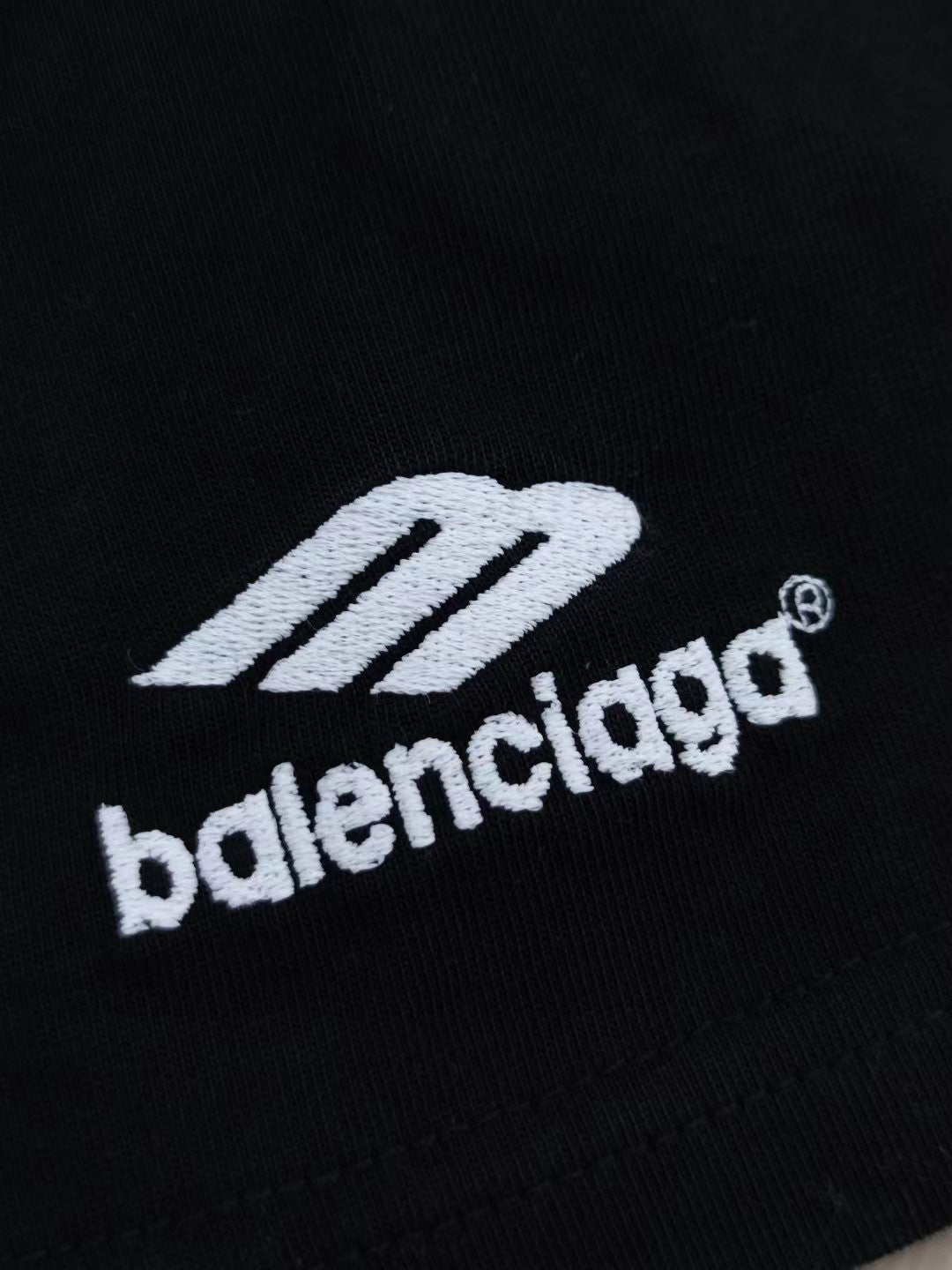 Ba1en*iaga T-shirt