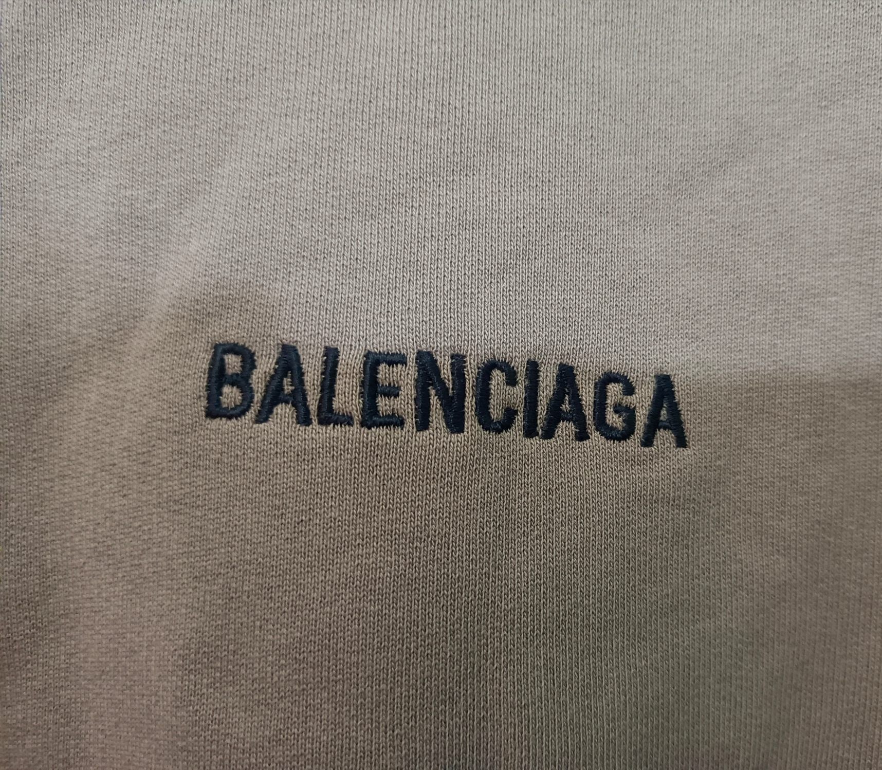 Ba1en*iaga Sweatshirt