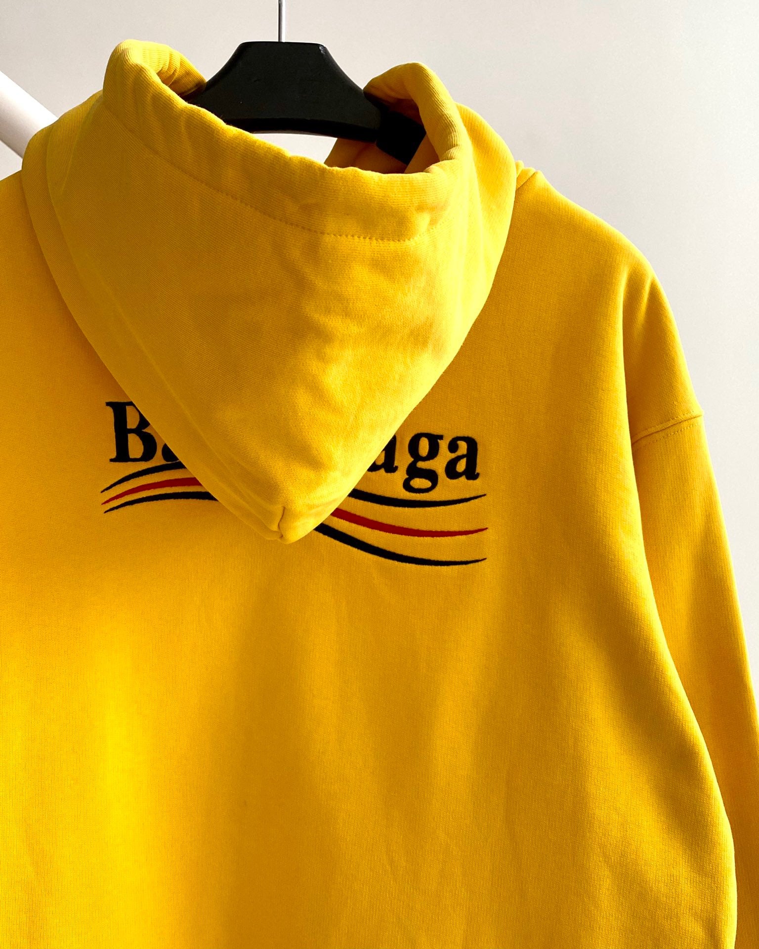 Ba1en*iaga Hoodie