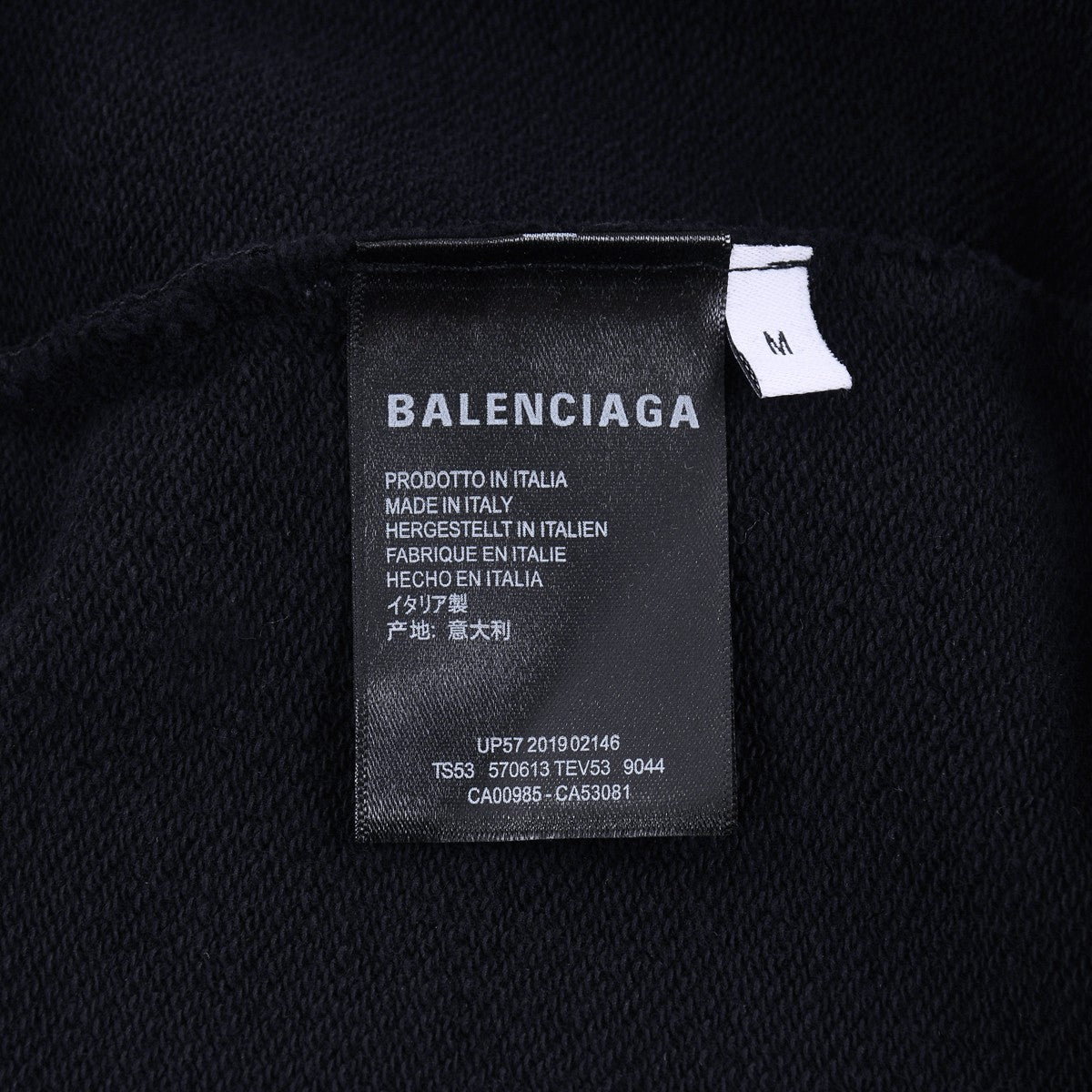Ba1en*iaga Sweatshirt
