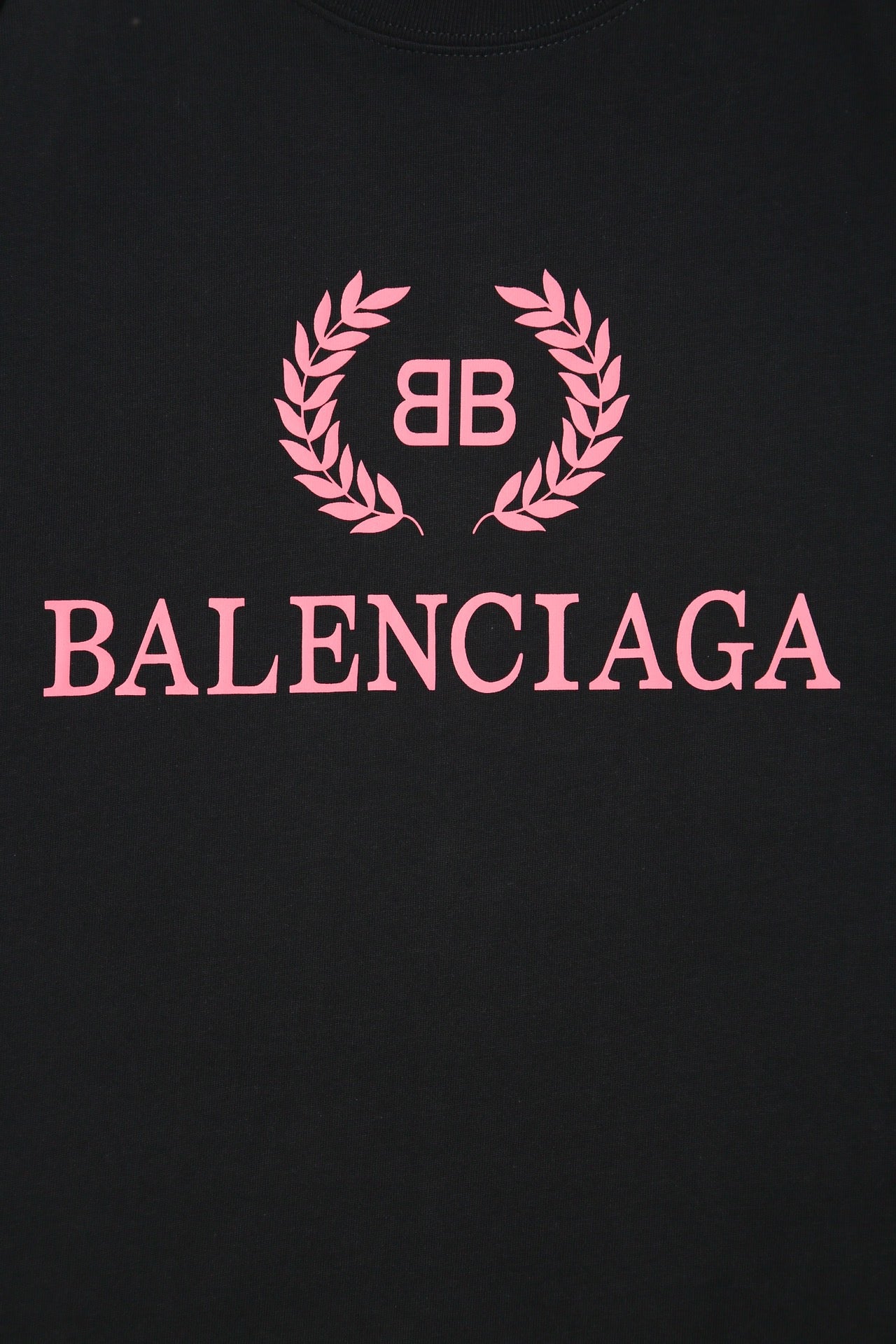 Ba1en*iaga T-shirt