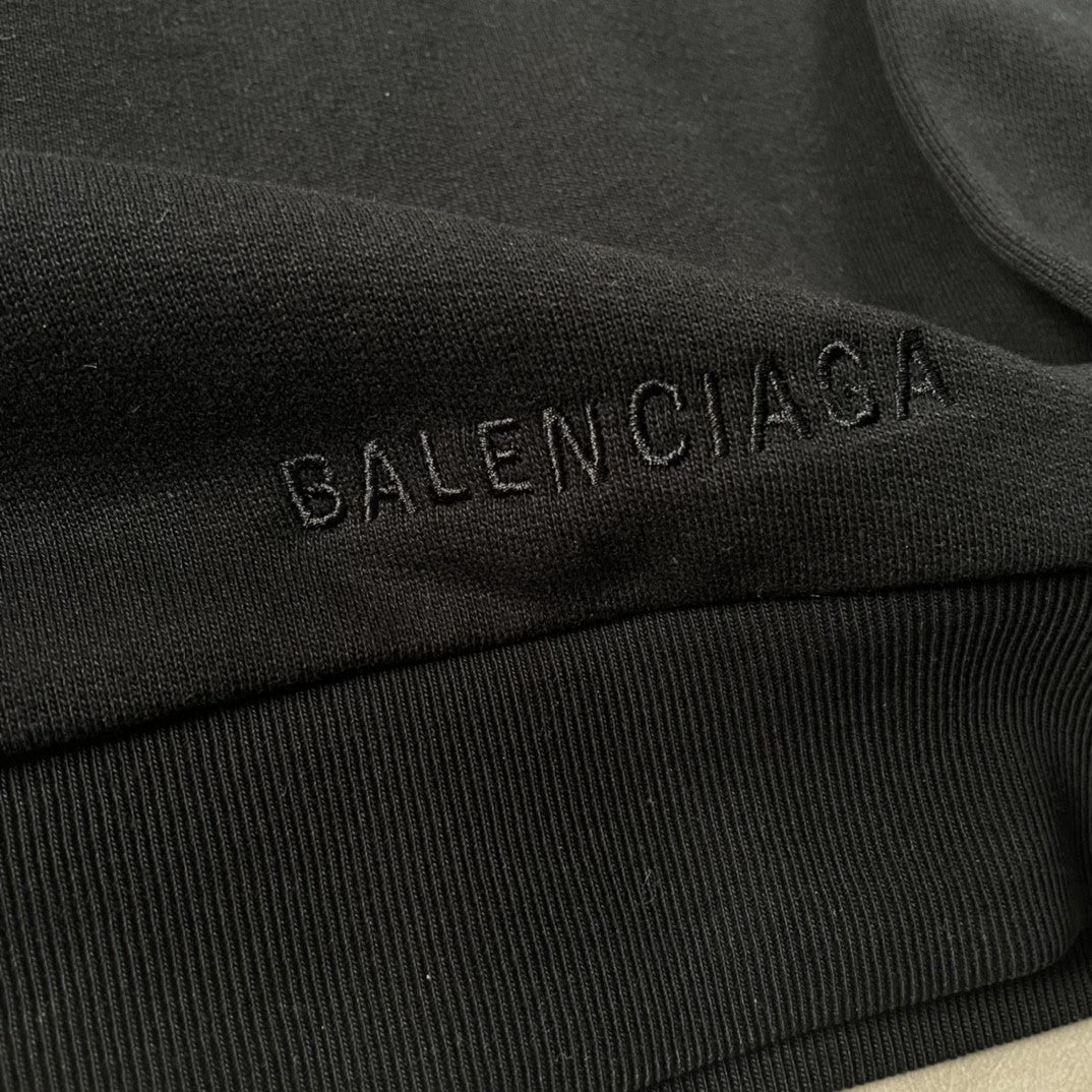 Ba1en*iaga Hoodie