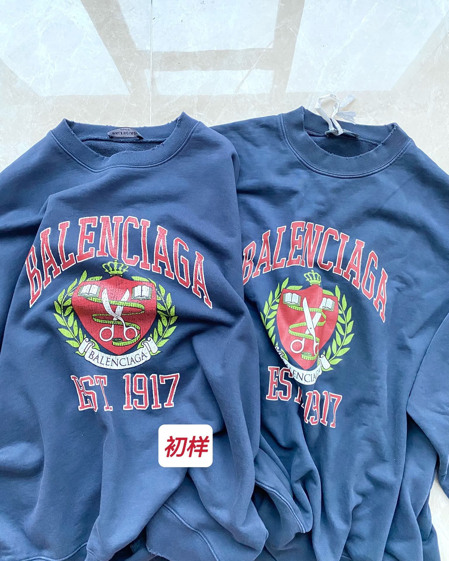 Ba1en*iaga Sweatshirt