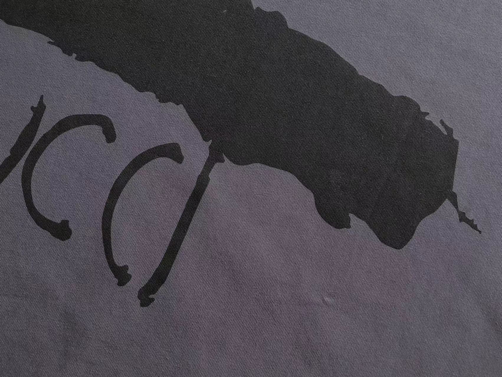 Gvc*1 x Ba1en*iaga T-shirt