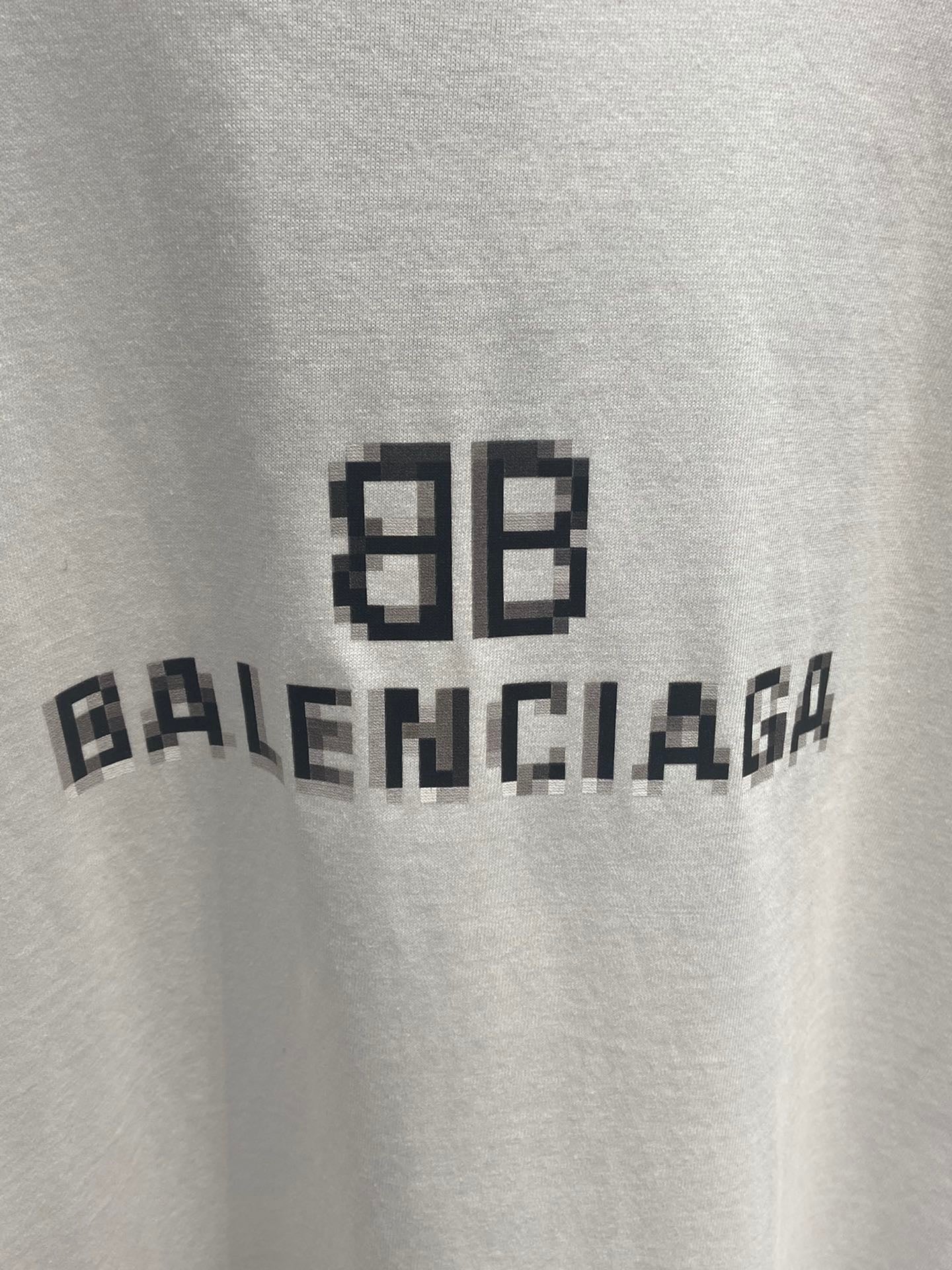 Ba1en*iaga T-shirt
