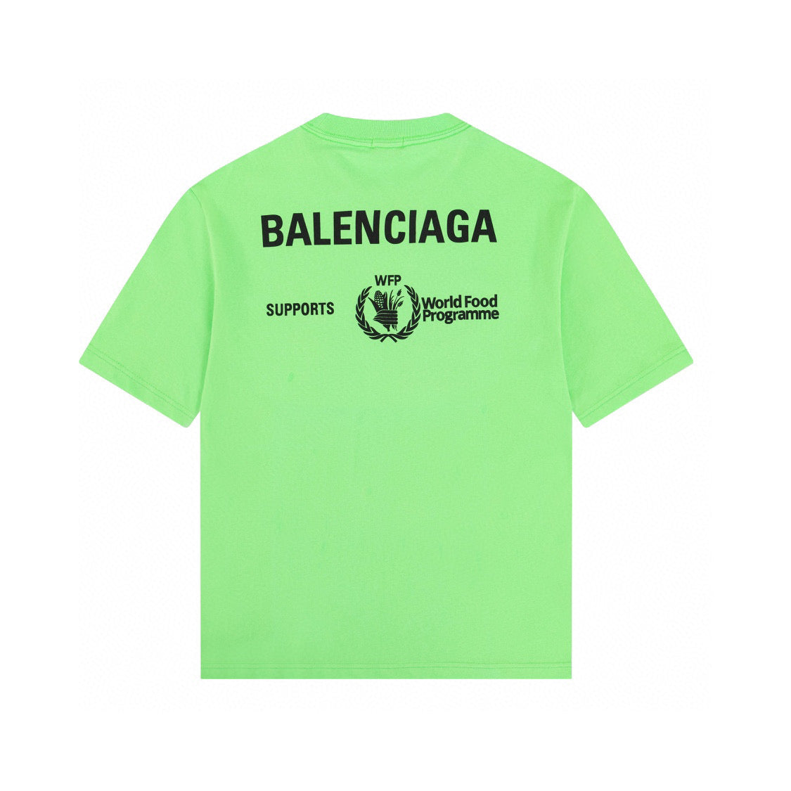 Ba1en*iaga T-shirt