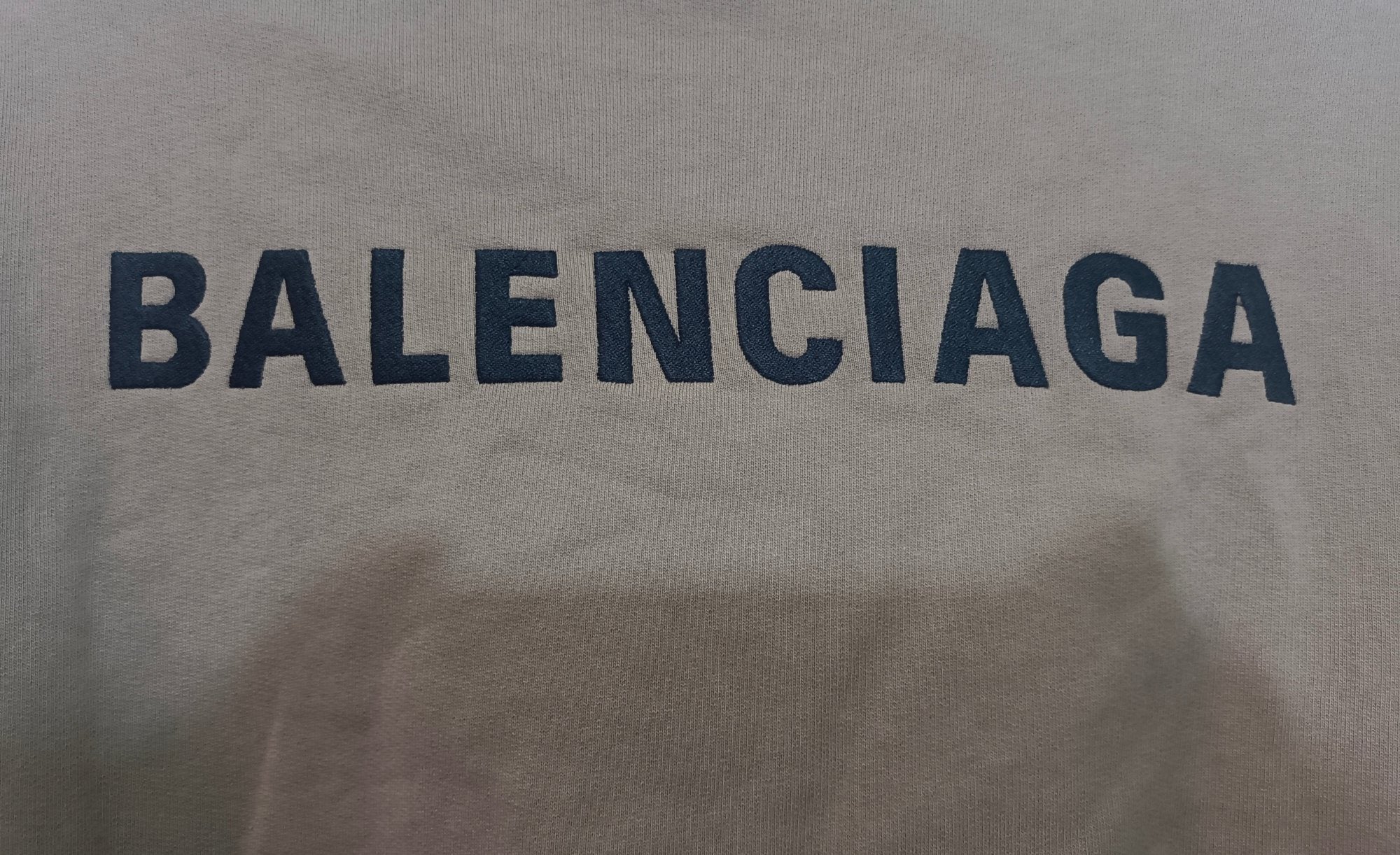 Ba1en*iaga Sweatshirt