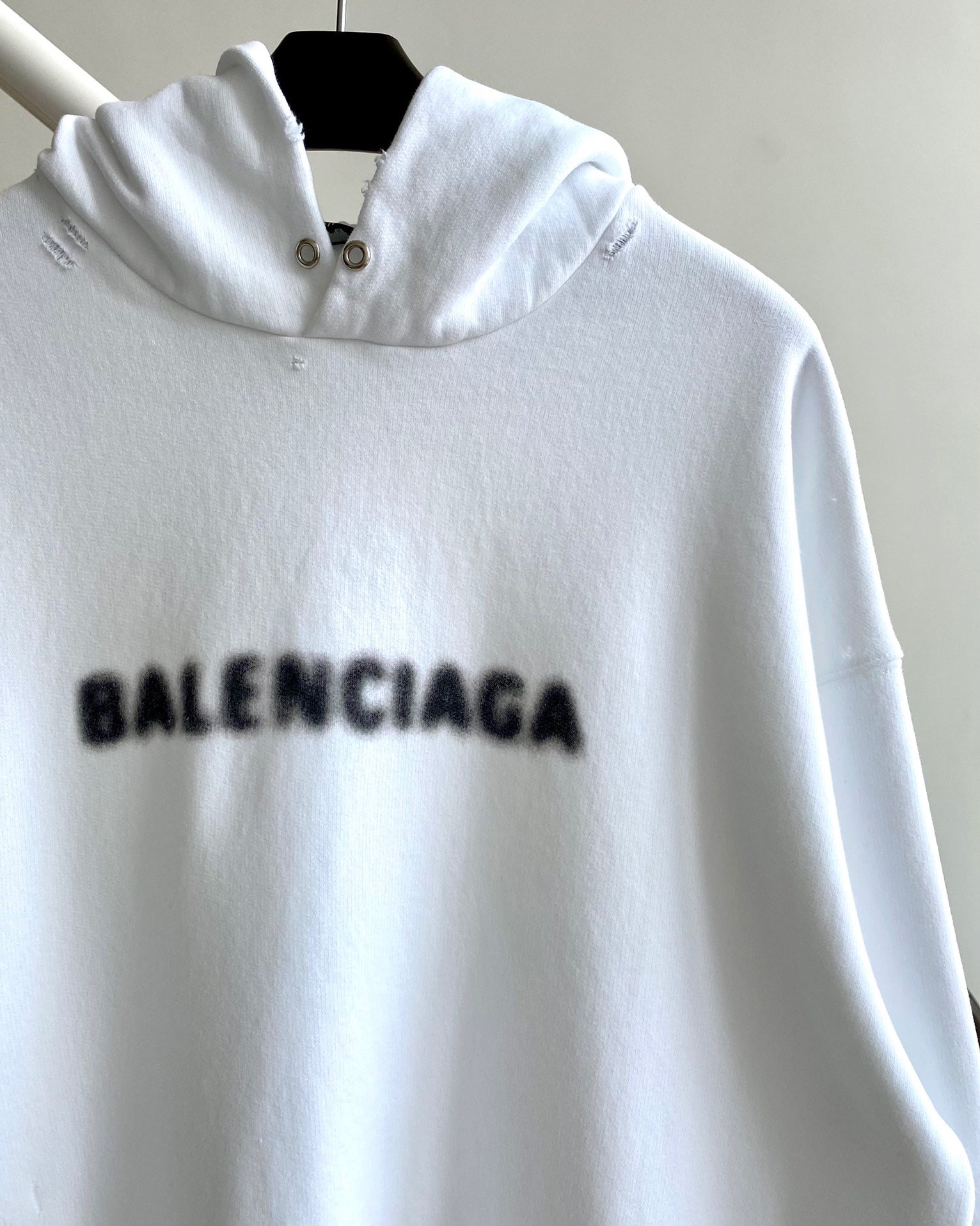 Ba1en*iaga Hoodie