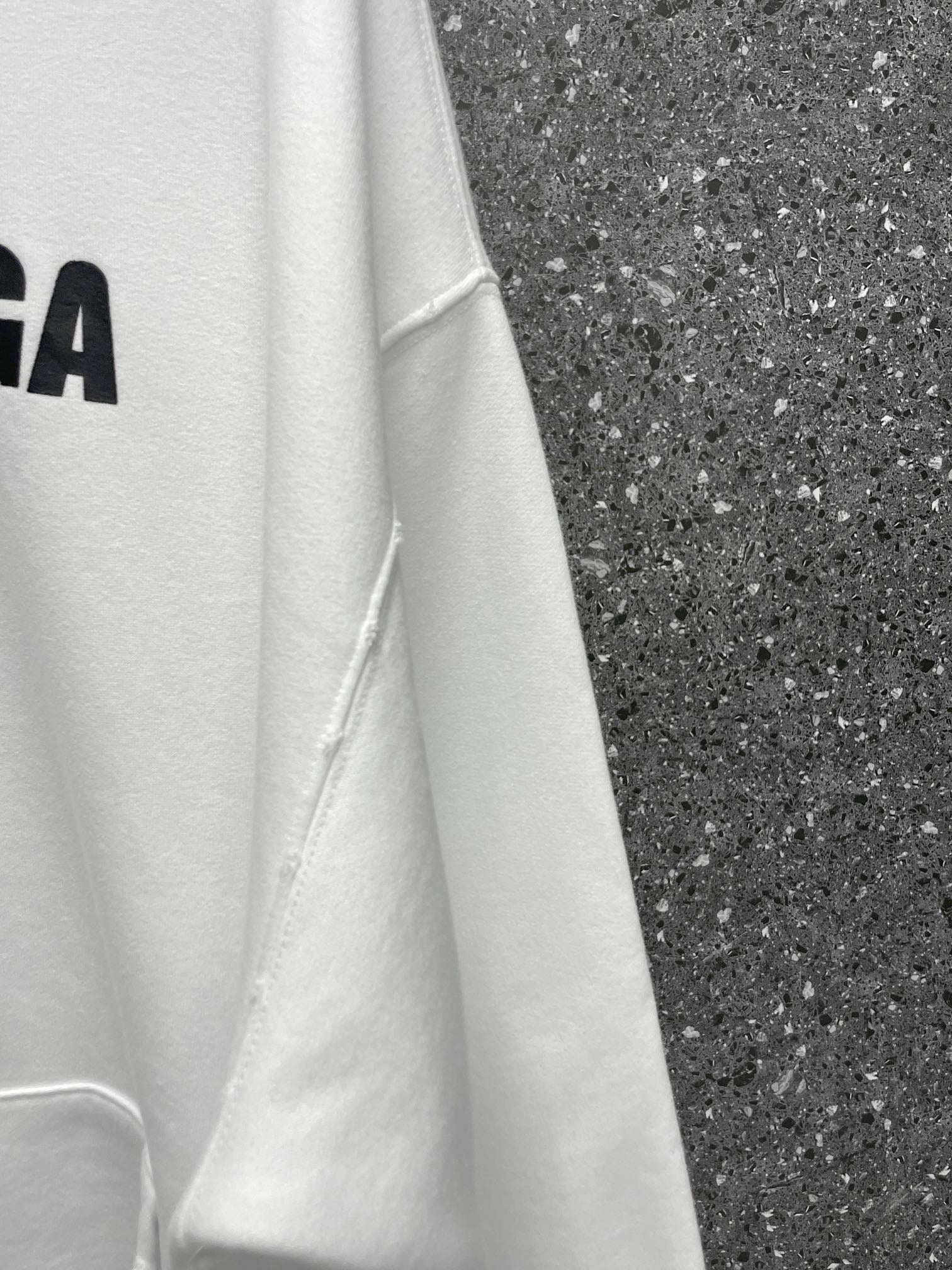 Ba1en*iaga Hoodie