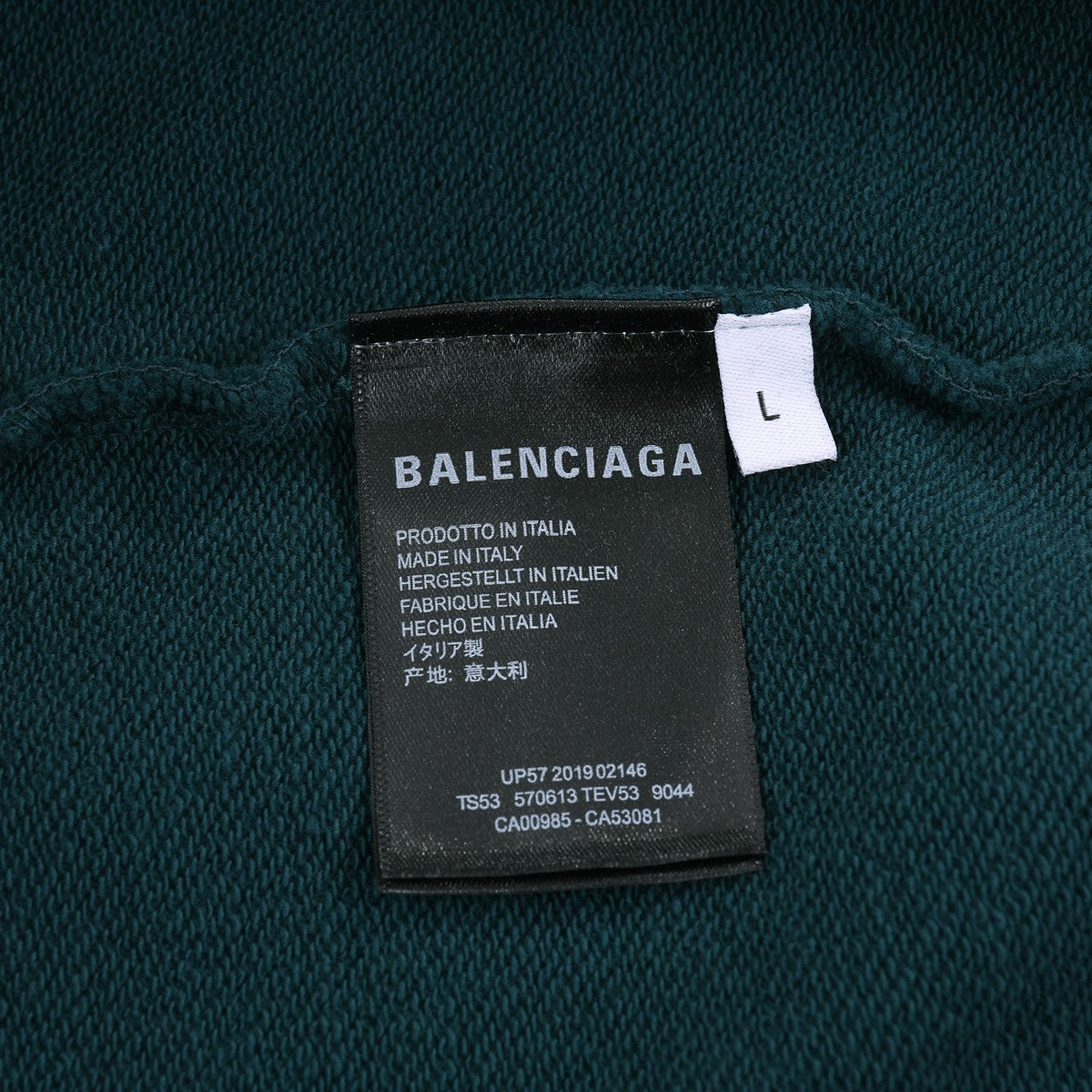 Ba1en*iaga Sweatshirt