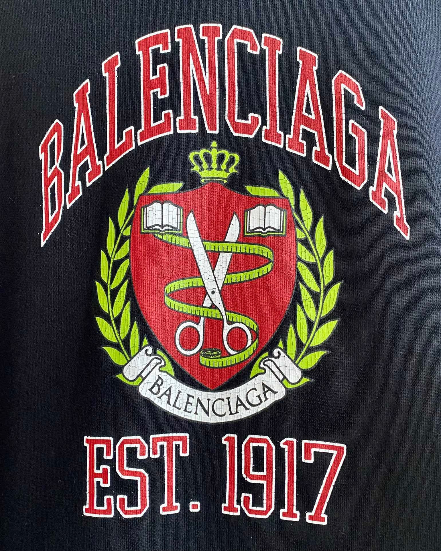 Ba1en*iaga Hoodie