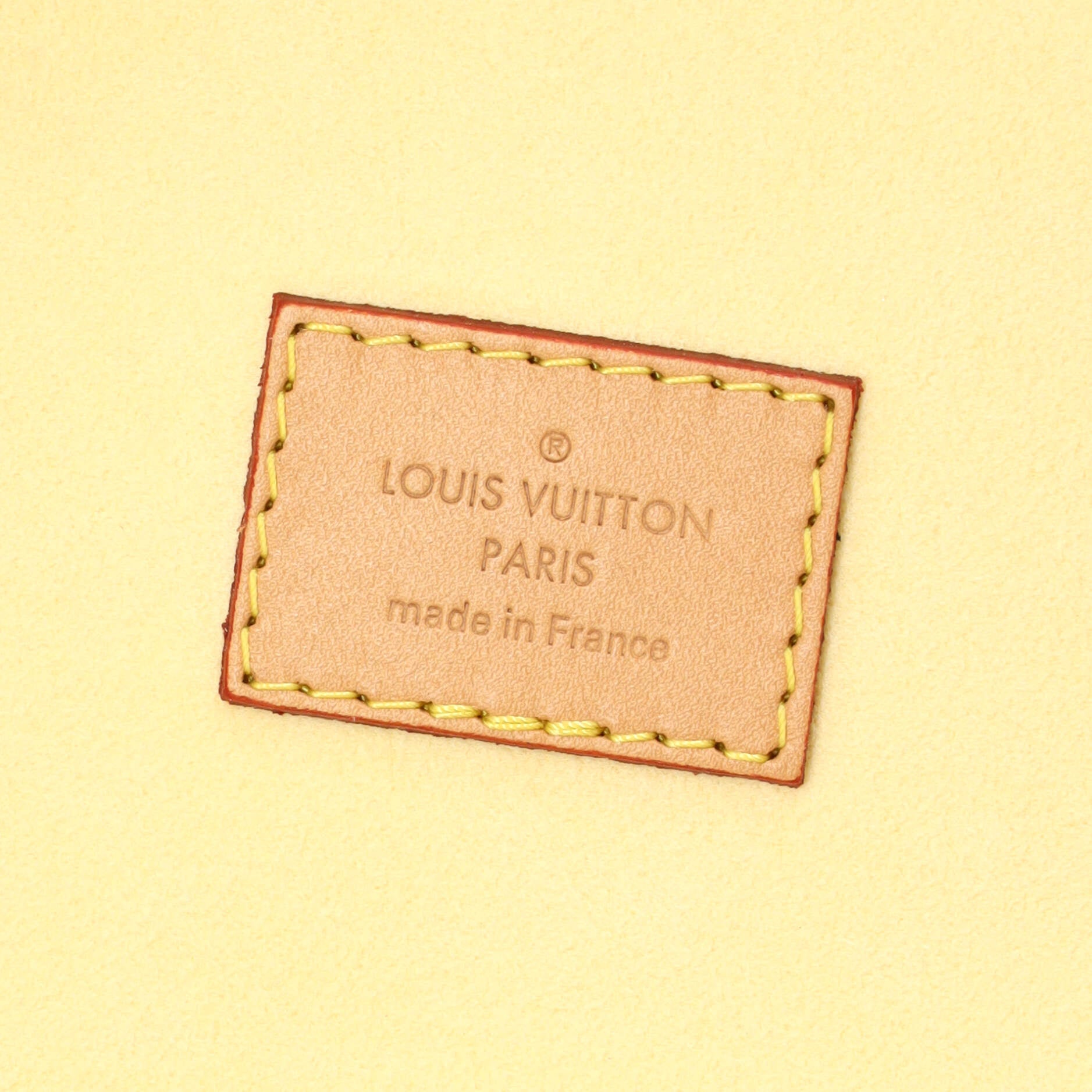 Cannes Handbag Damier Monogram LV Pop Canvas