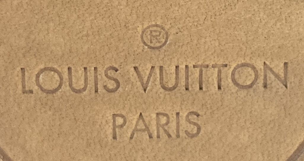 Cannes Handbag Damier Monogram LV Pop Canvas