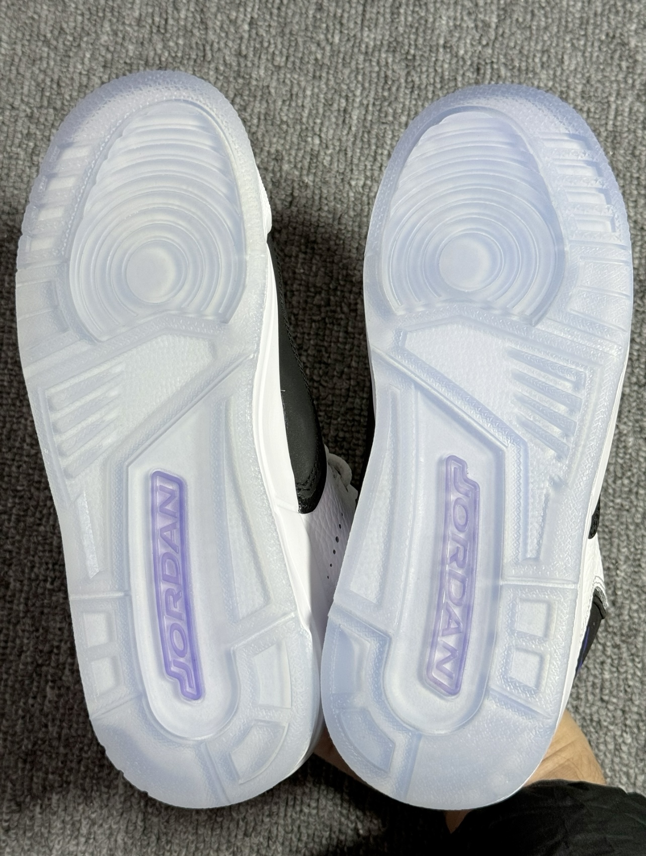 NIKE AIR JORDAN COURTSIDE 23 CONCORD