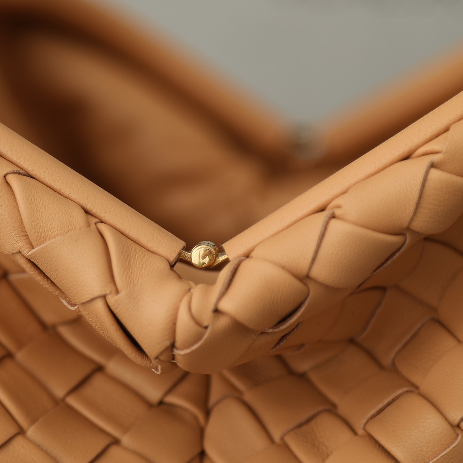 B0tt*ga Ven*ta Woman